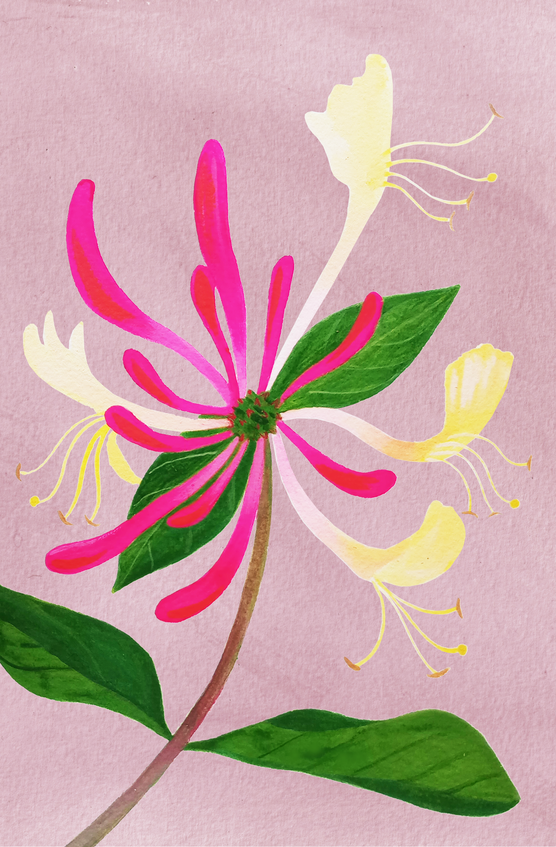 Painting of a flower with pink and yellow petals, green leaves, and a pink stem on a pink background