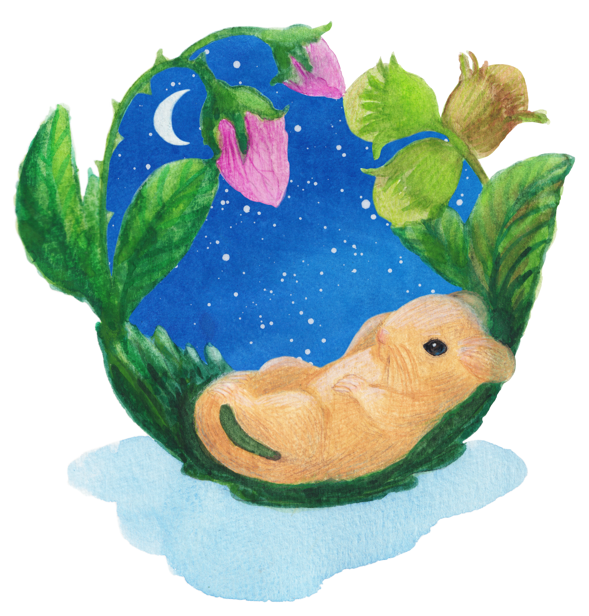 dormouse under the stars (1).png