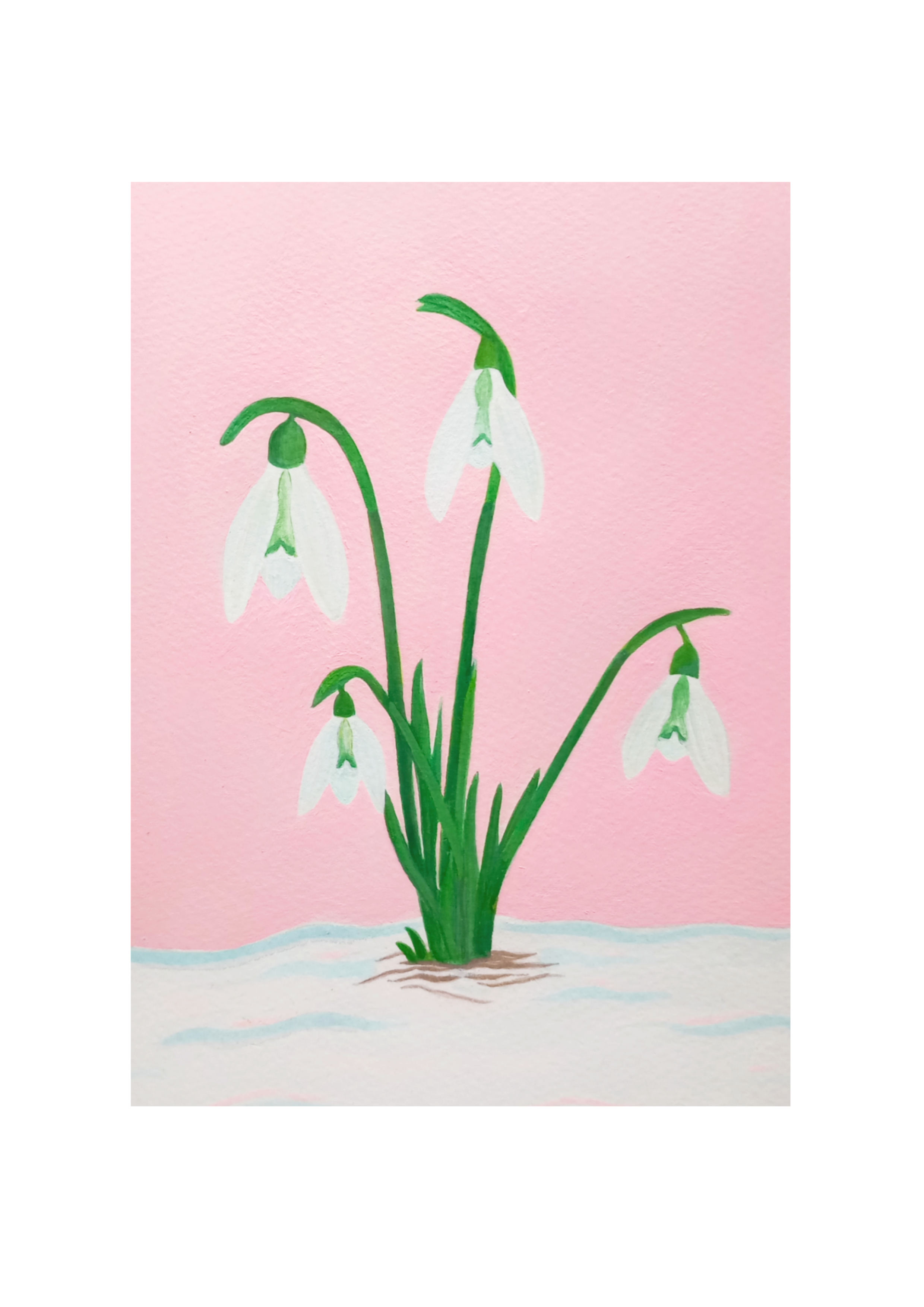 Snowdrops Art Print