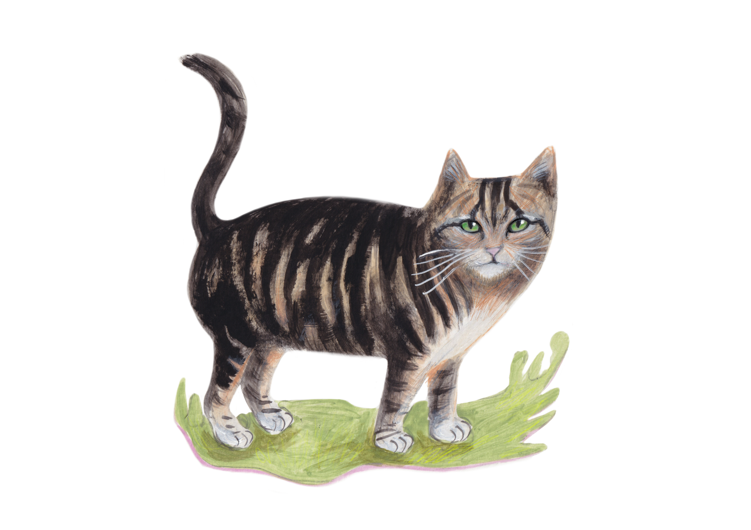 Tabby cat painting low res.png