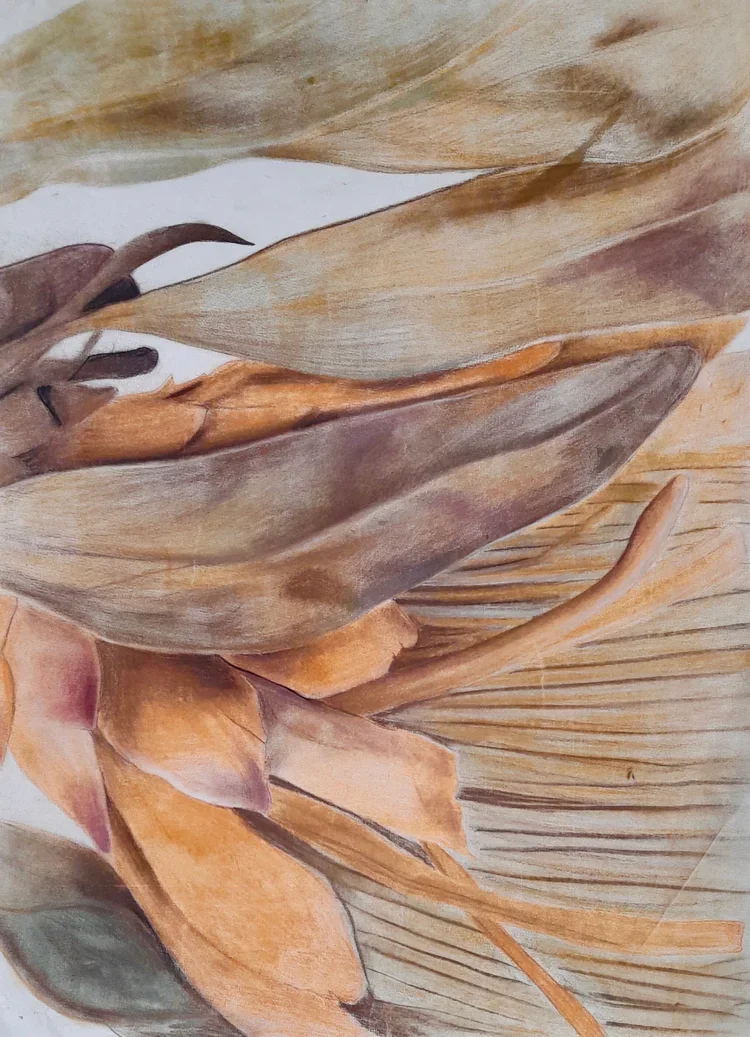 Close-up of dried, overlapping leaves in earthy tones, possibly part of a botanical artwork or dried foliage.