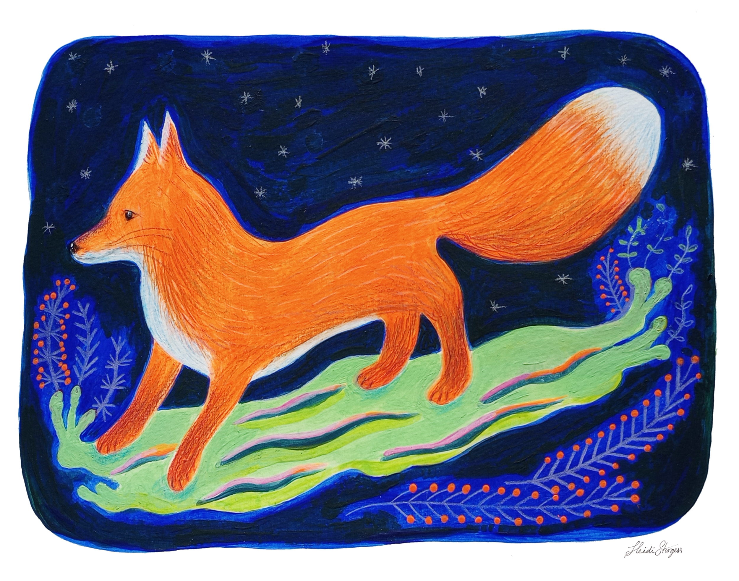 Colorful drawing of a fox with a dark blue starry night sky in the background, surrounded by green grass and decorative plants.