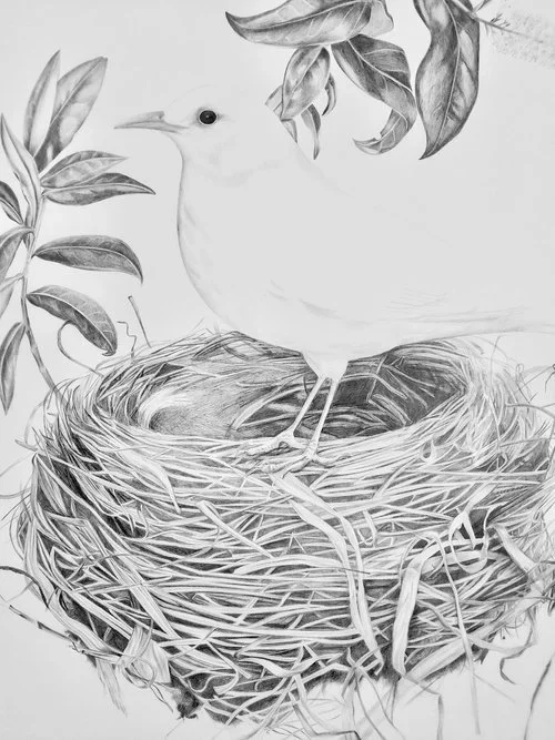 A black and white drawing of a bird standing in a nest with leaves around it.