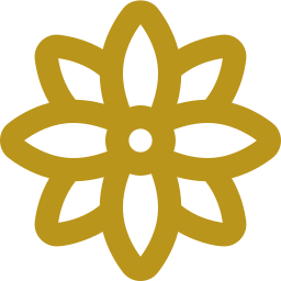 Motif de fleur stylisée ornementale