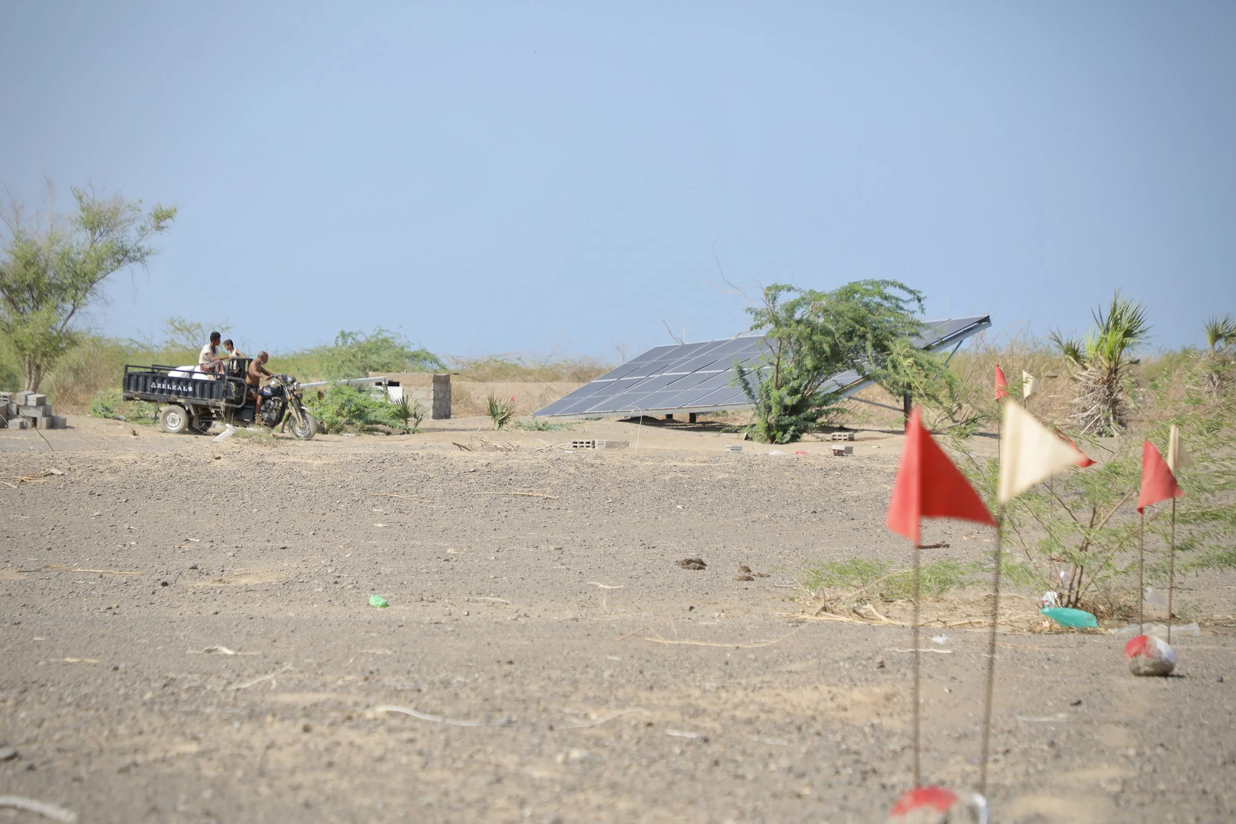 In Al Remah, farmers harvest what they can from safe ground. Their fields border areas still awaiting clearance, making each day’s work an act of caution.