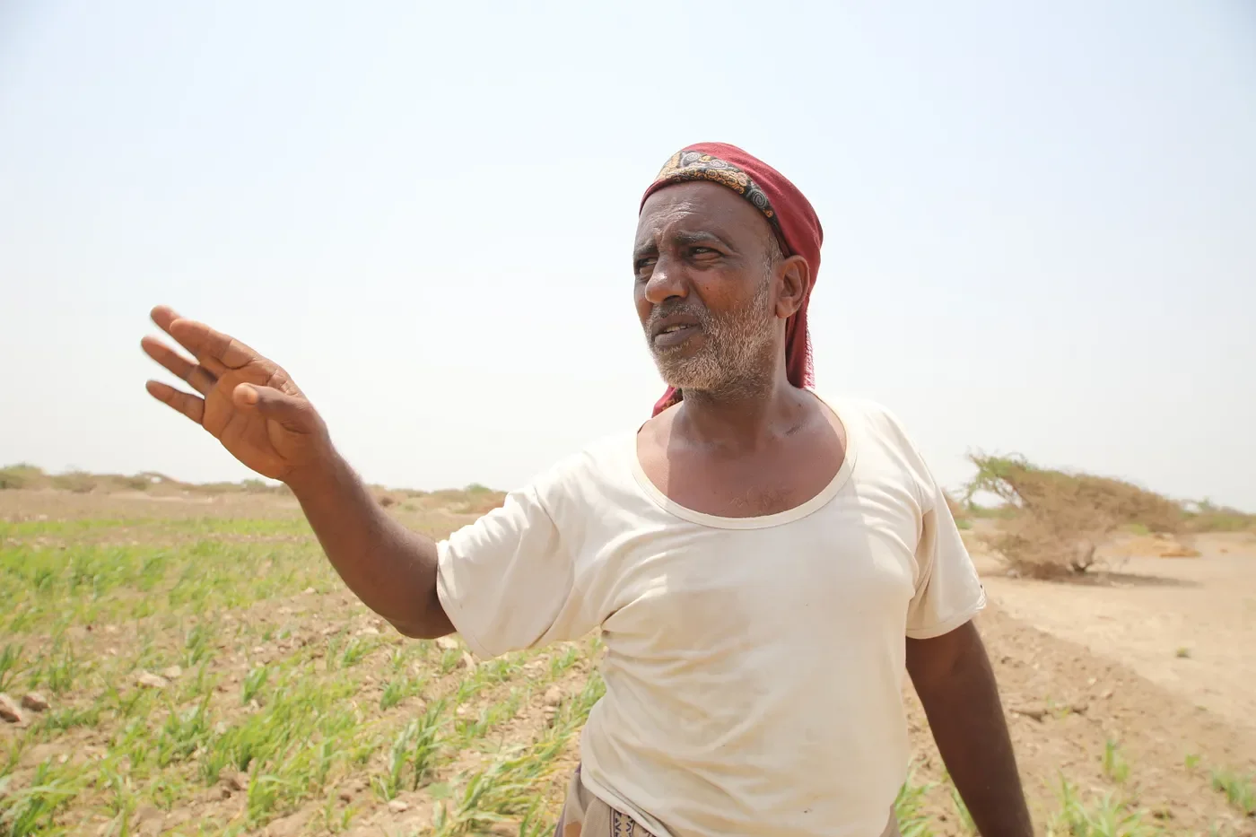 When the earth becomes a casualty: How landmines devastate Yemen’s environment