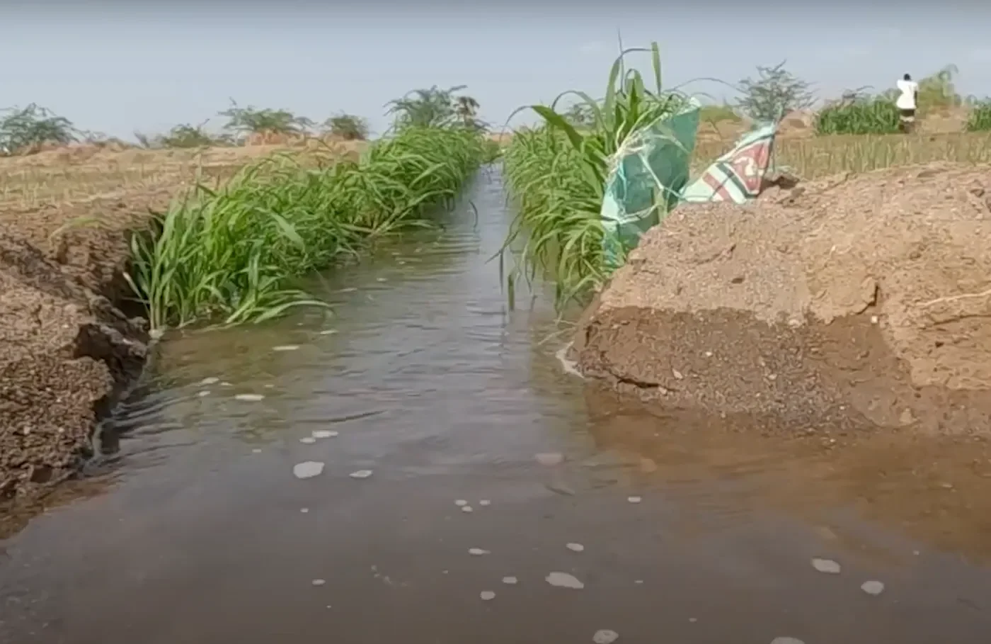 Water in war: how landmines in water wells contaminate the environment and displace tens of thousands