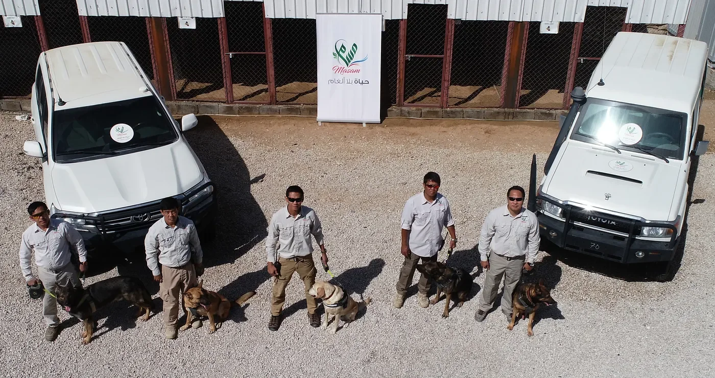 Explosives detection dogs: The K9 keeping deminers safe