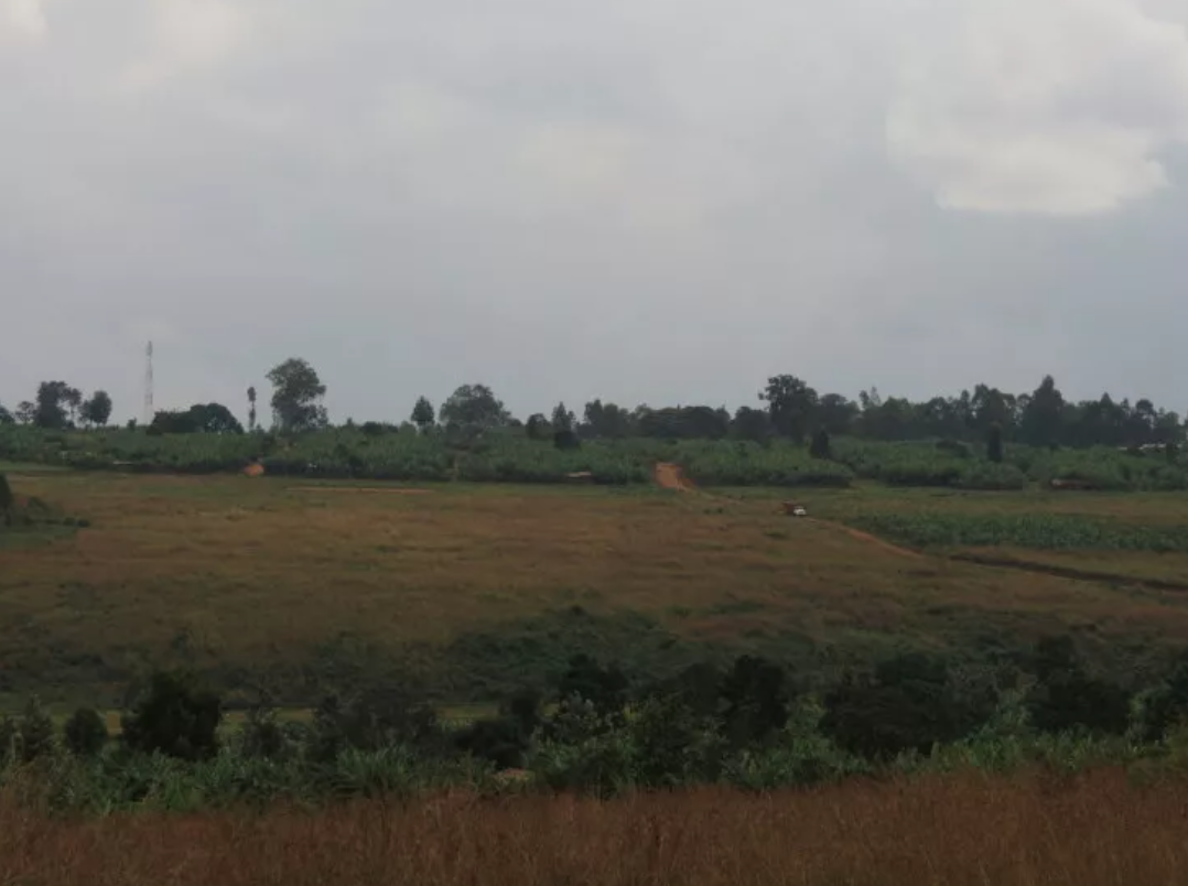 Burundi genocide fear: Government youth militia Imbonerakure threatens to kill Tutsi refugees