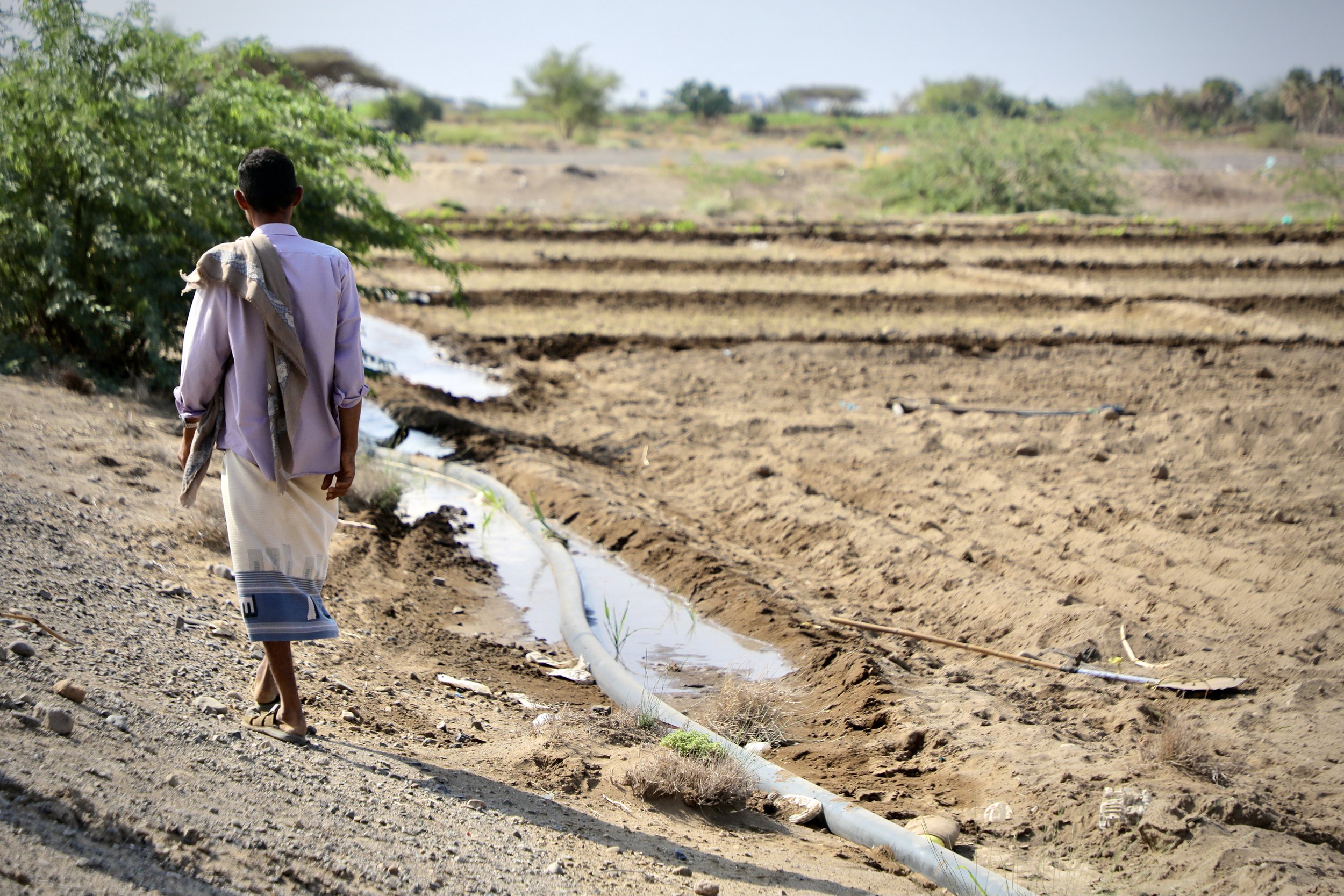 Amar Mohamed Abdu walks along the boundary of his farmland. Some areas have been cleared, while others remain overgrown and inaccessible, making survey and removal difficult.