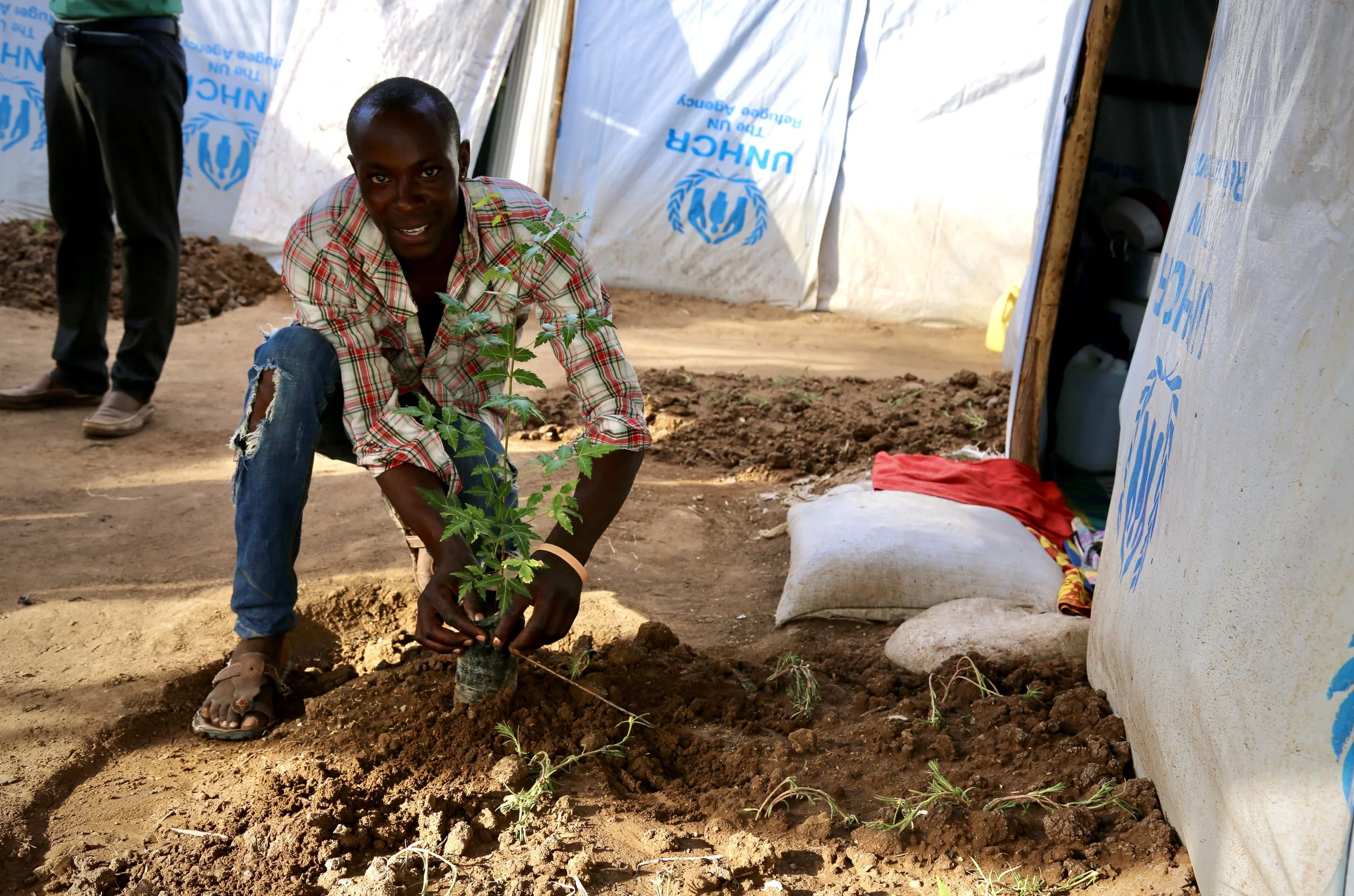 "David" plants a small tree outside a shelter in Kakuma refugee camp. Alongside living in the camp, some LGBTQ+ refugees took part in vocational and educational programmes - including horticulture training - in the hope of building skills and futures