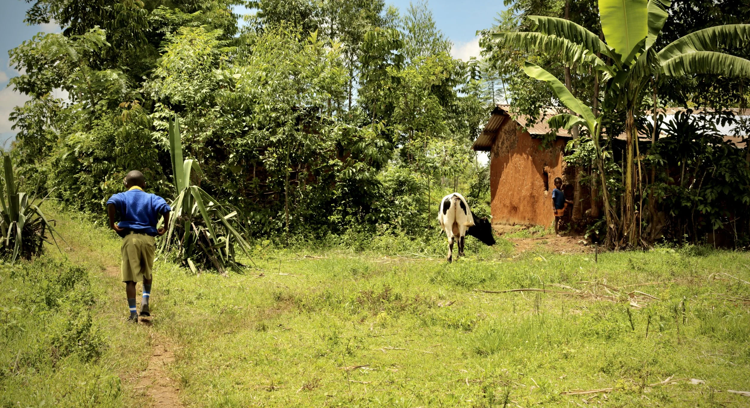 A pupil walks home in Kakamega County, Kenya. Children often combine school attendance with domestic responsibilities, including collecting water and wood for household use.