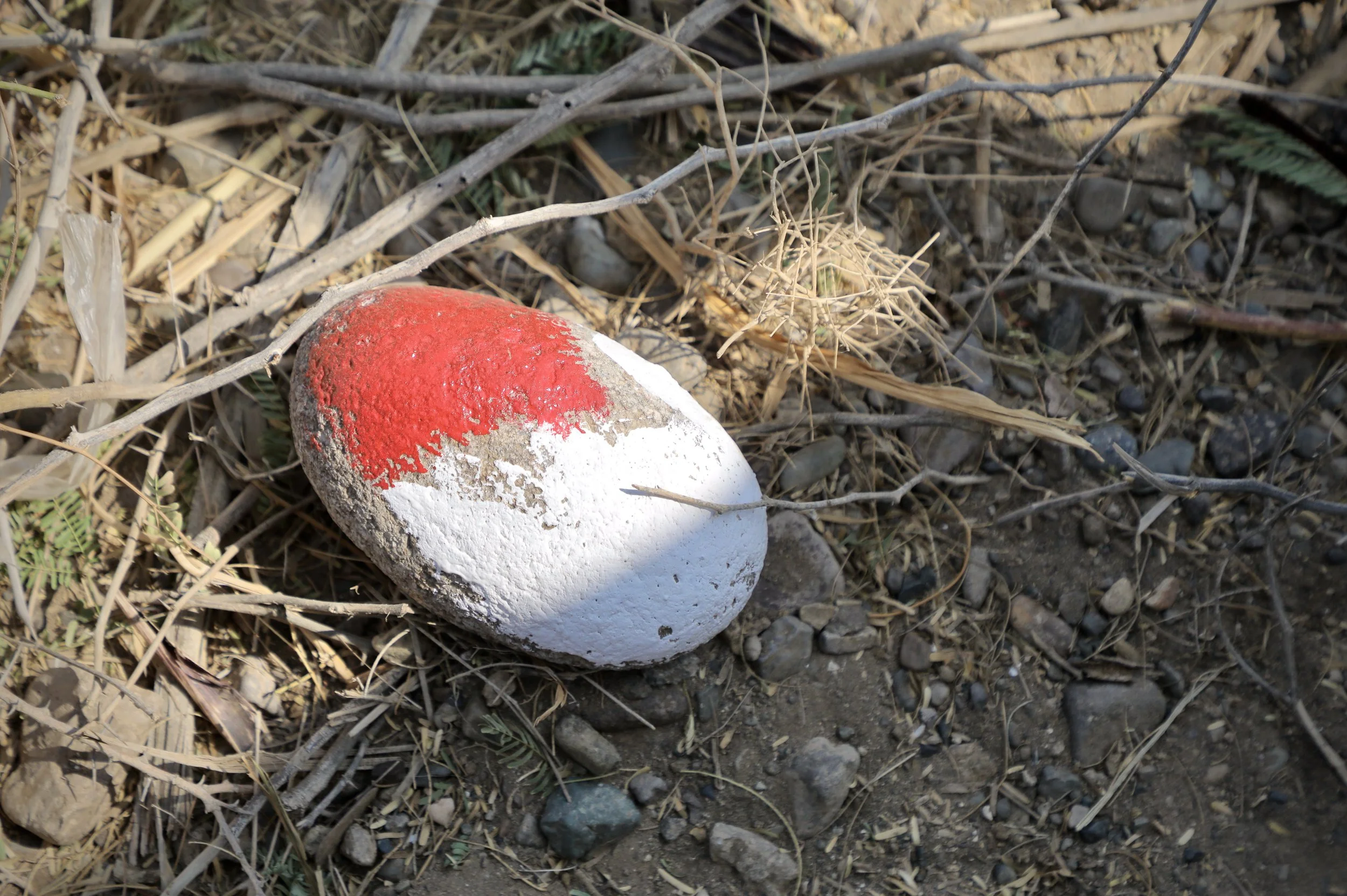 A painted stone marks a cleared or hazardous area in Al Remah, near Mocha, Taiz governorate, Yemen. Red for Danger, white for Safe.