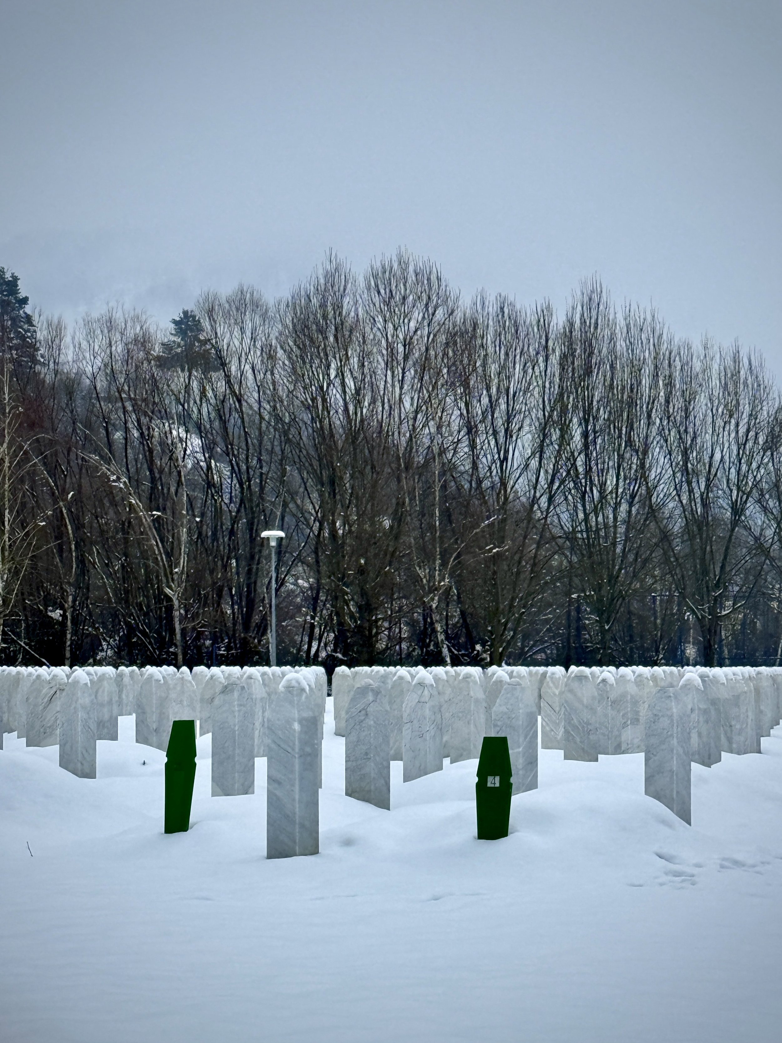 Rows of graves at the Srebrenica–Potočari Memorial Centre, where more than 8,000 victims of the genocide are buried. The green grave markers indicate newly identified remains or forthcoming burials, a reminder that thirty years later families are sti