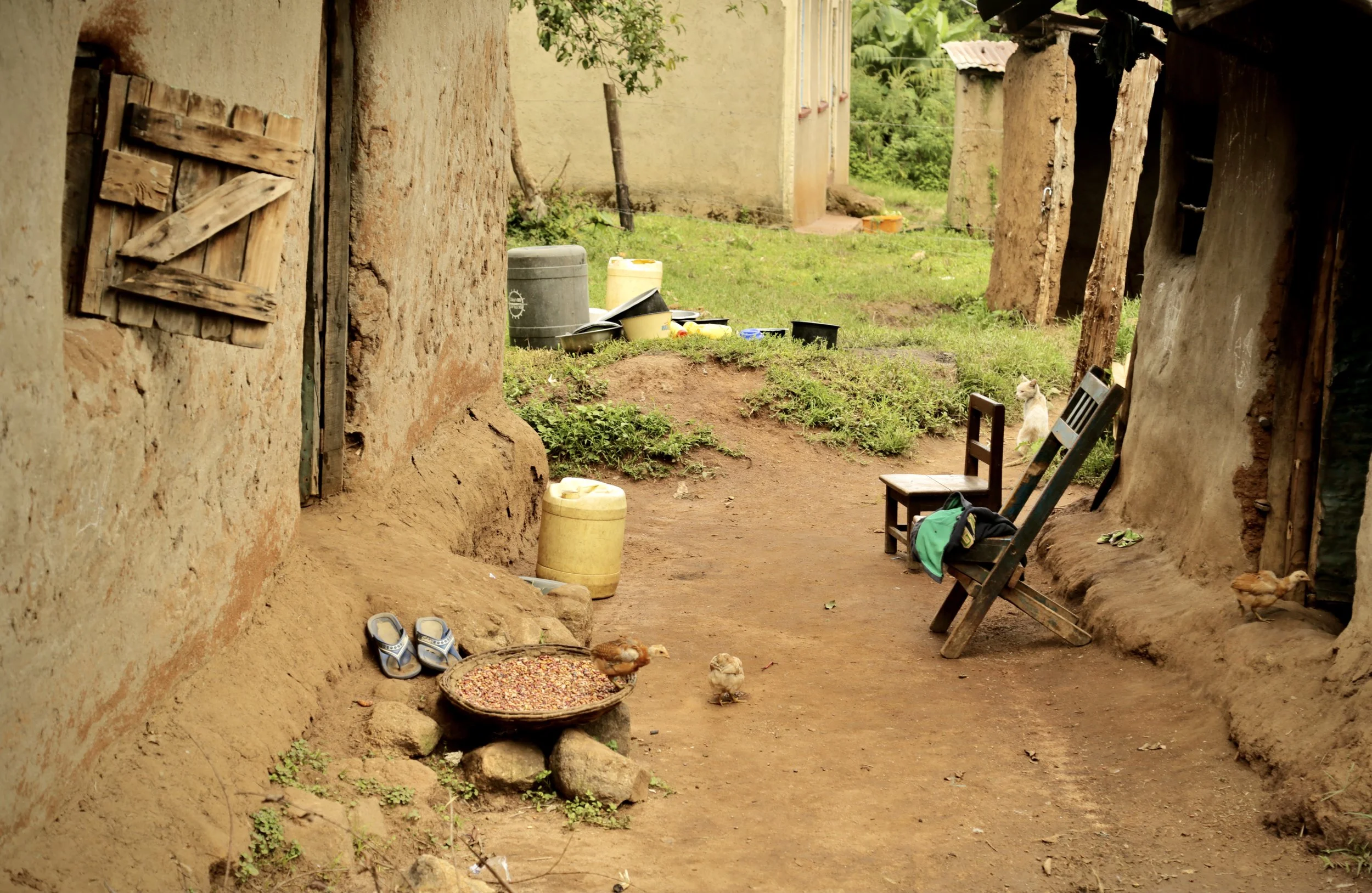 The courtyard between family homes in Kakamega County, Kenya. Water containers and household items are visible outside the buildings, reflecting the importance of water storage and management in everyday life.