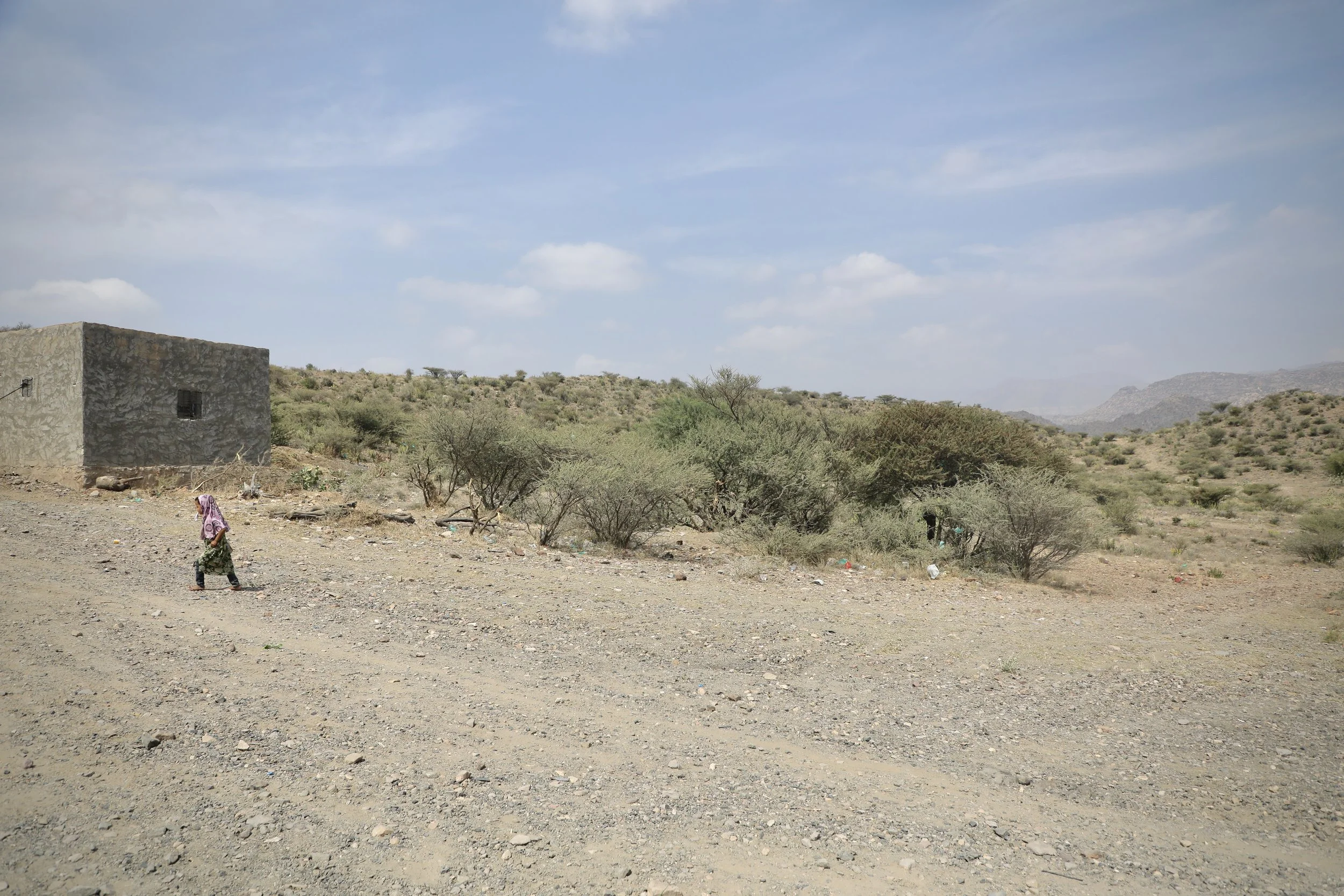 A child crosses open scrubland near Shakhab, in Al Dhale Governorate, Yemen. This terrain - fertile-looking, seemingly peaceful - remains one of the most heavily mined areas in the country.