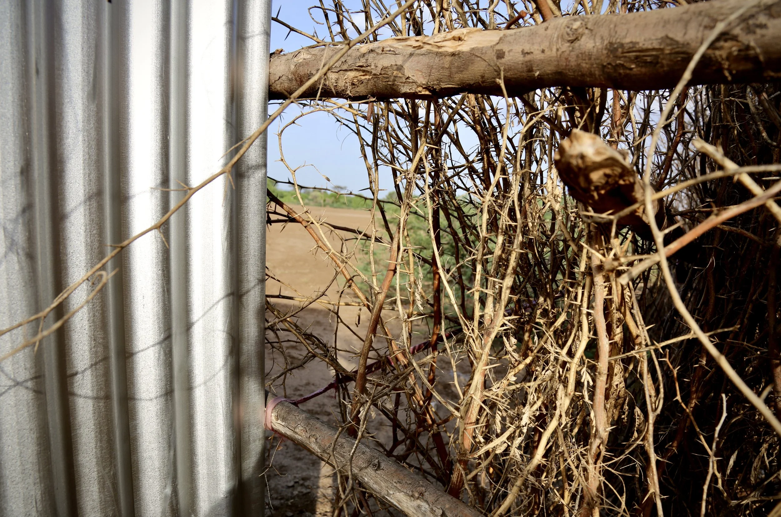 Corrugated metal sheets and thorn branches form part of the fragile perimeter surrounding the LGBTQ+ refugee compound in Kakuma. Residents said attacks and harassment from outsiders were common, and members of the community took turns acting as guard