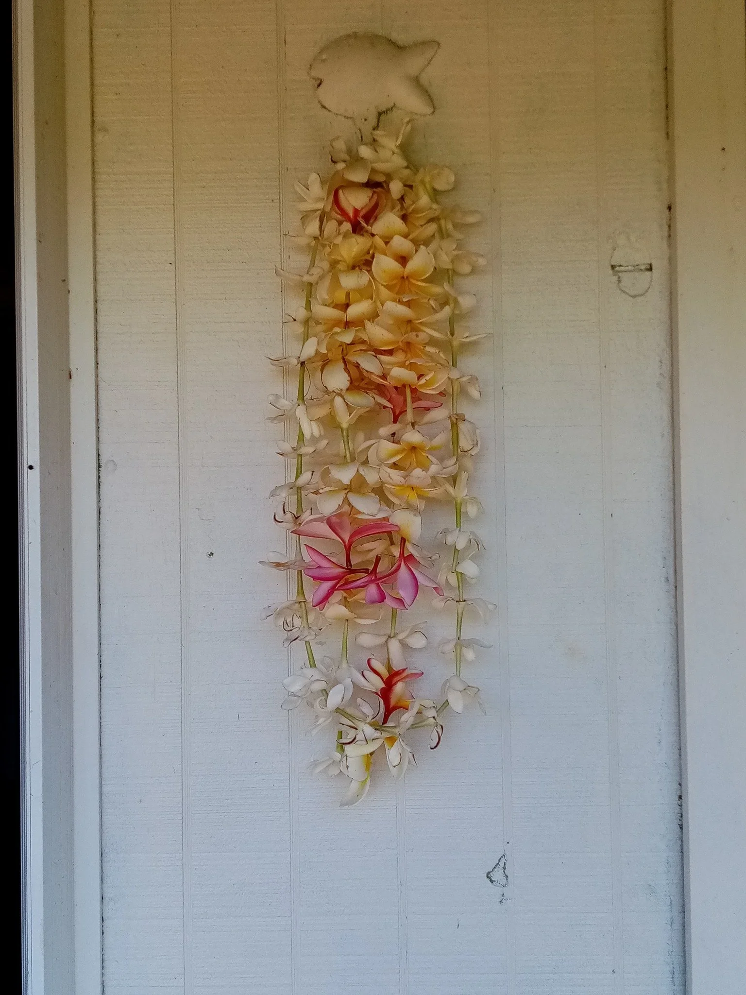 A vertical floral arrangement of white, pink, and yellow orchids hanging on a white wooden wall.