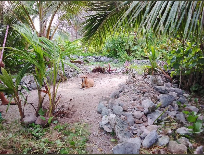 Avana Point, Rarotonga