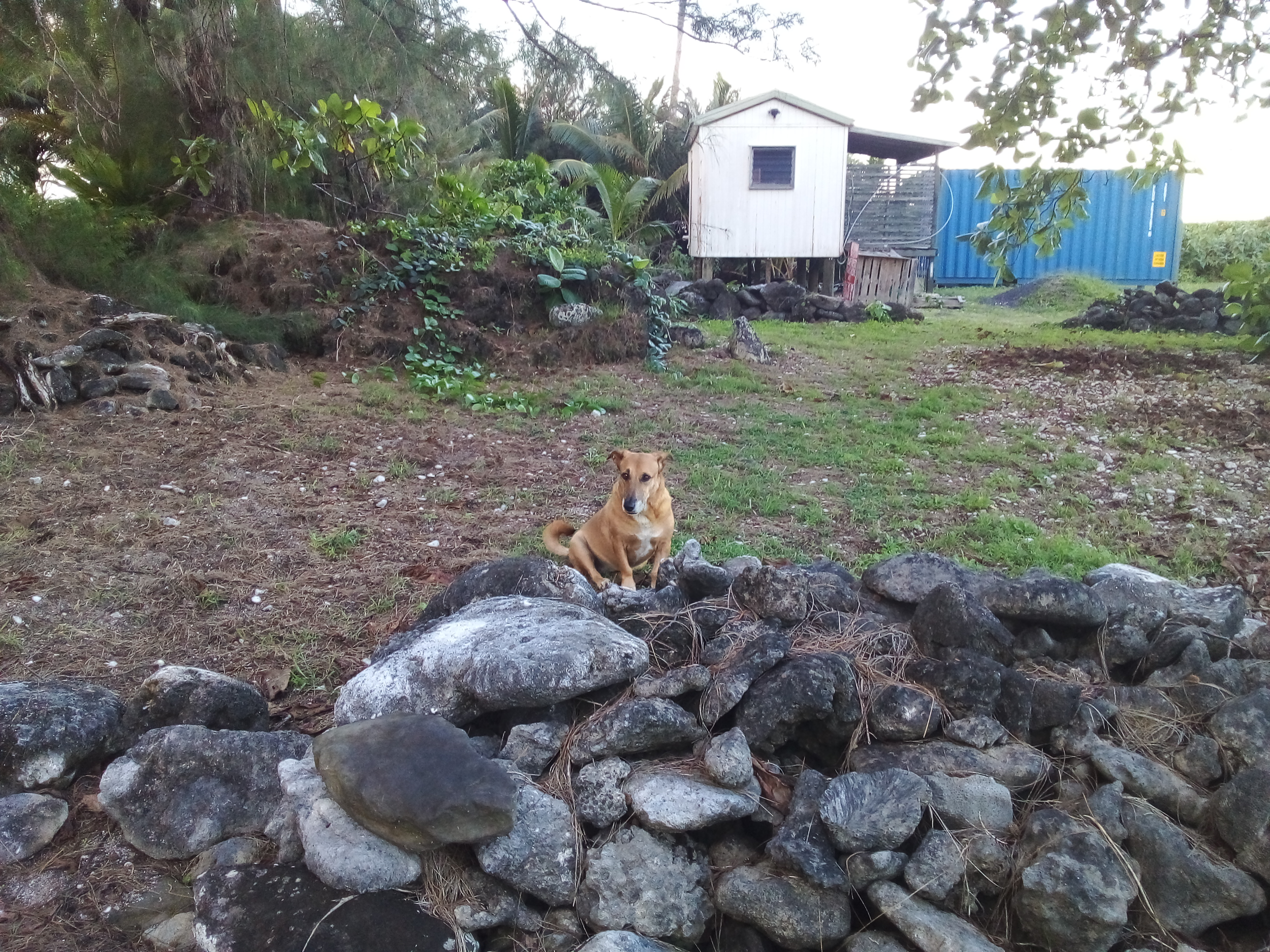 Vaerota marae, Rarotonga, Cook Islands
