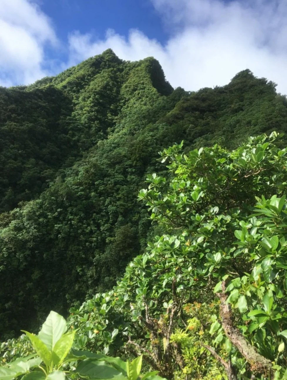 Te Manga Mountain, Rarotonga,  Cook Islands with it's, lush green mountain landscape with dense forest and partly cloudy sky. 