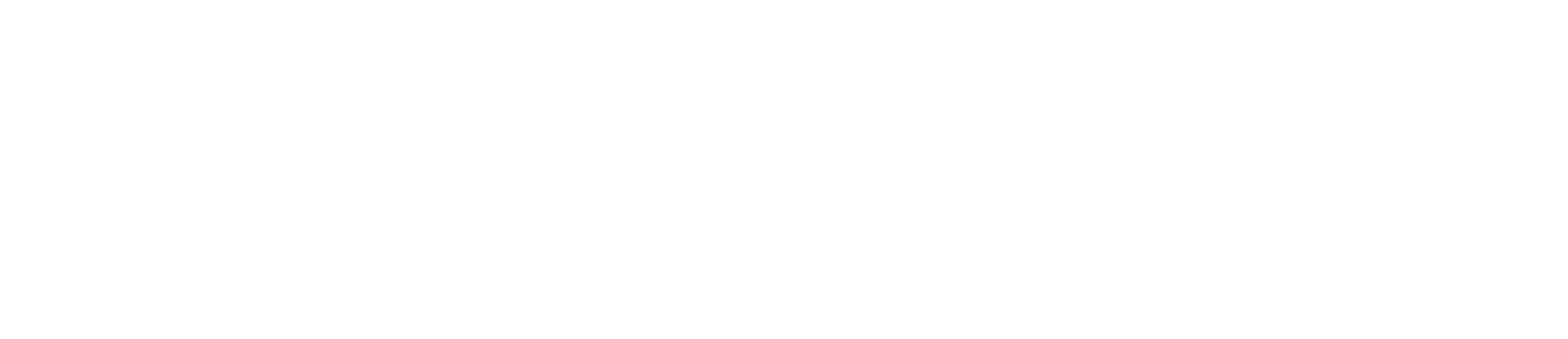The Pilates School