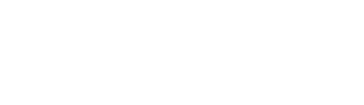 Hampton Data Services