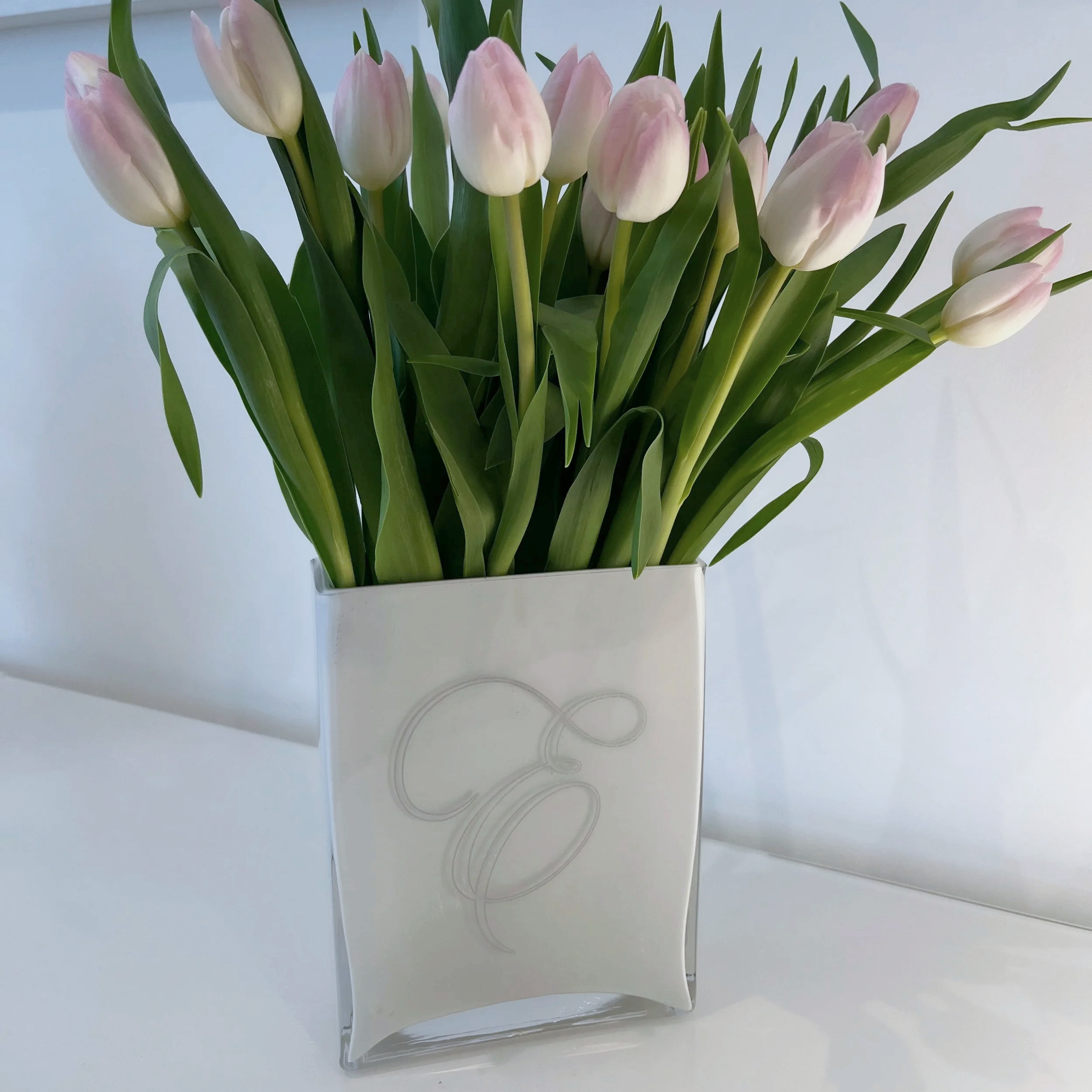 White Vase