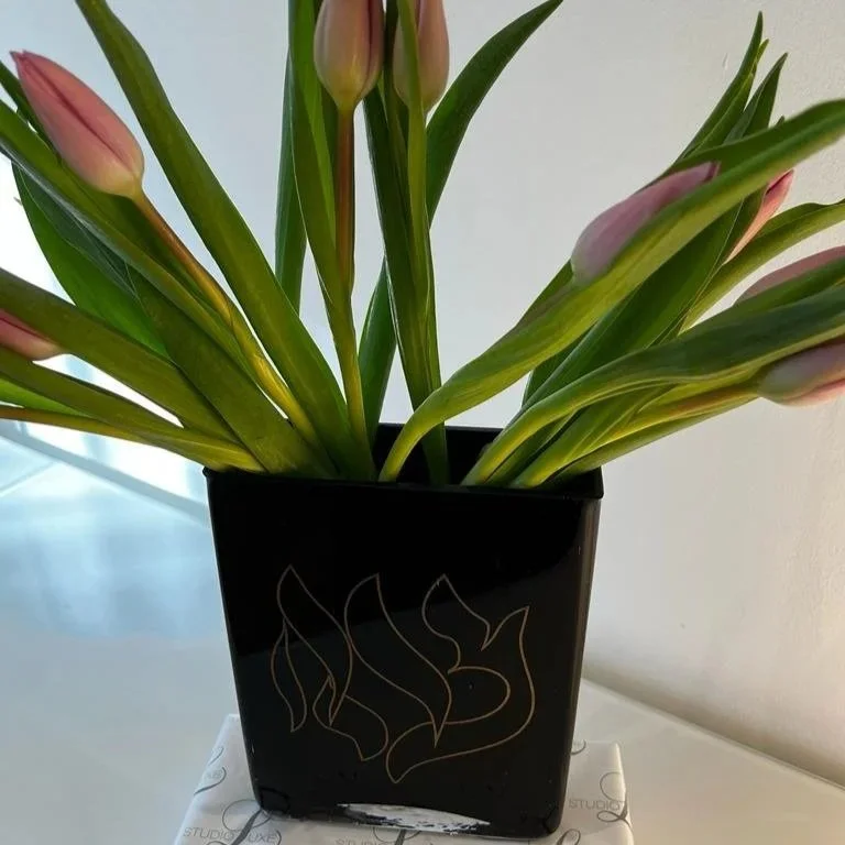 Black Vase