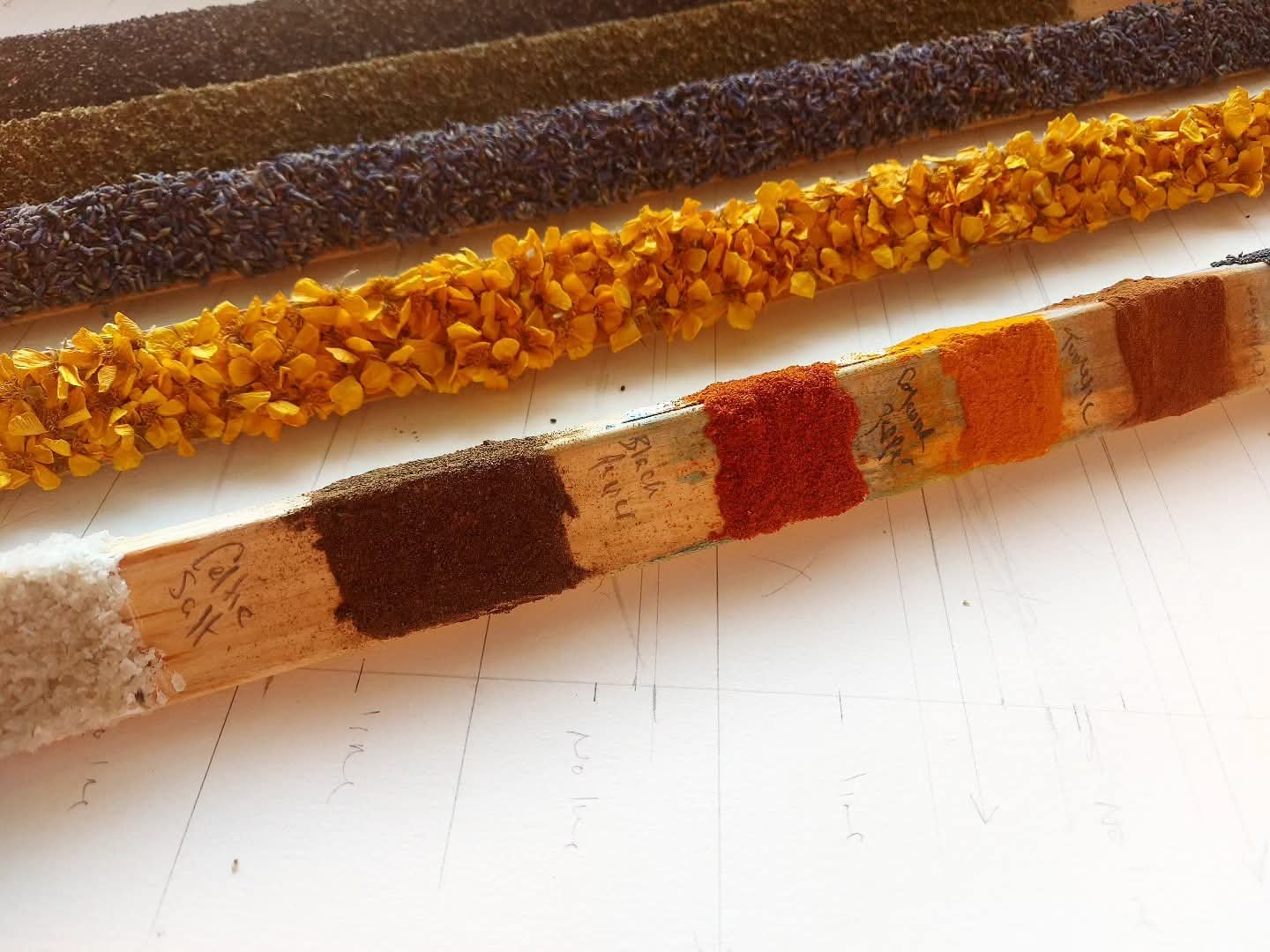 Botanical and Mineral, Sensory Art tests