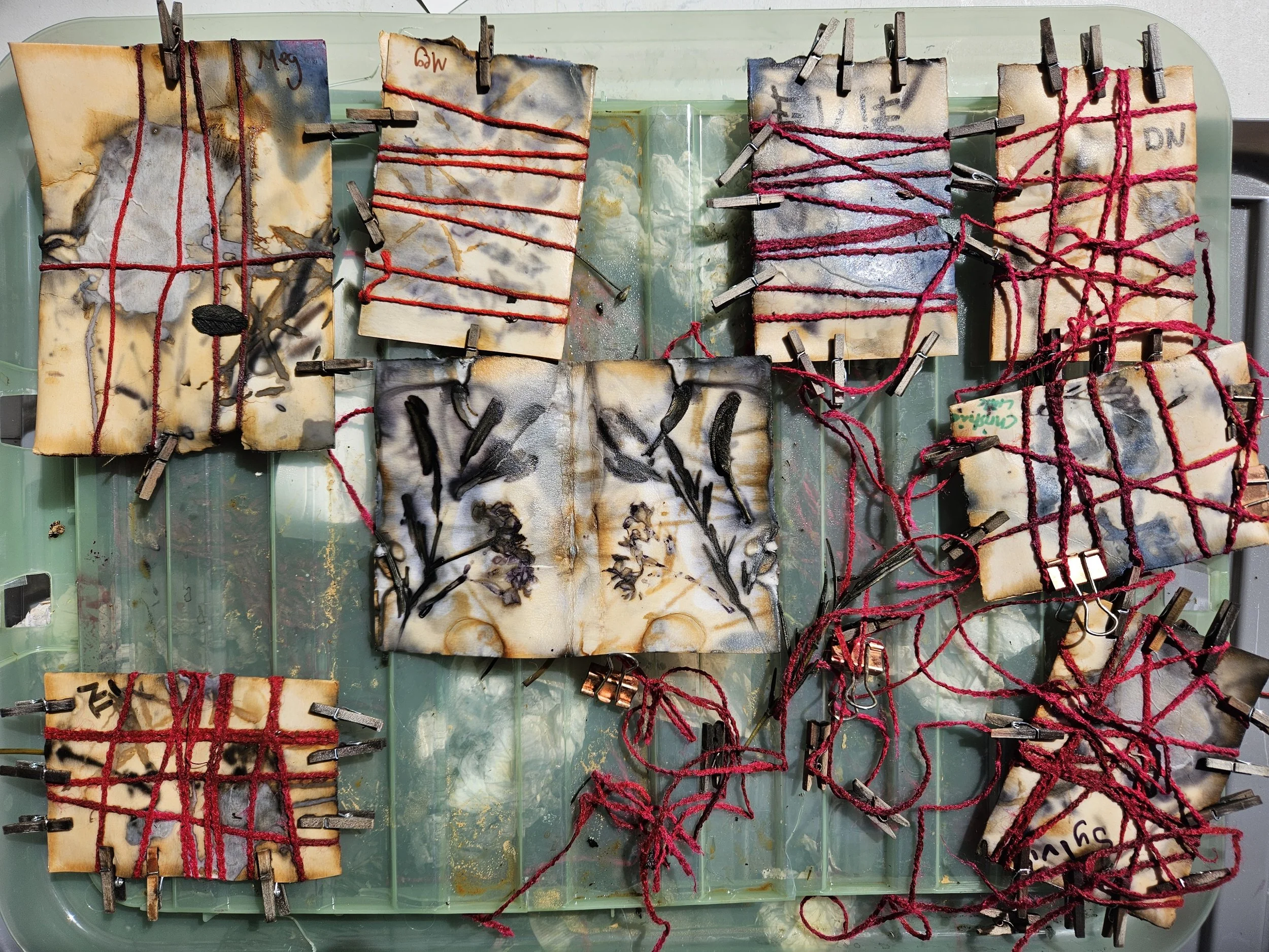 Botanical steam printing workshops by Sally Green