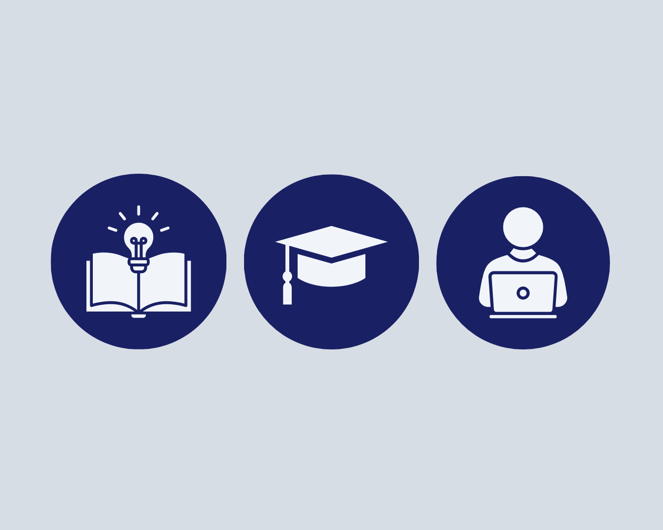 Icons representing education concepts: an open book with a light bulb, a graduation cap, and a person using a laptop, all in dark blue circles on a light background.