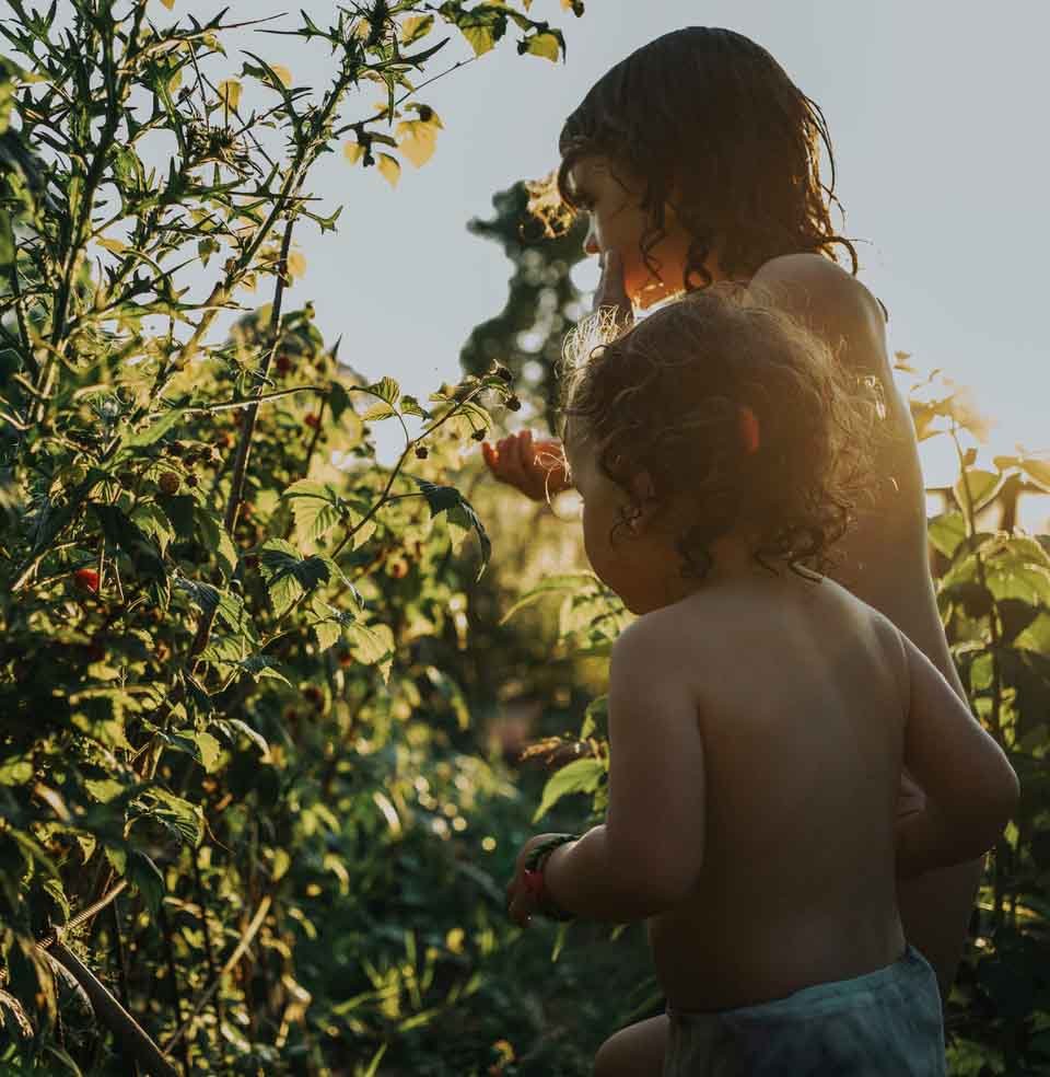 dokumentarische-familienfotografie-beeren-abendlicht.jpg