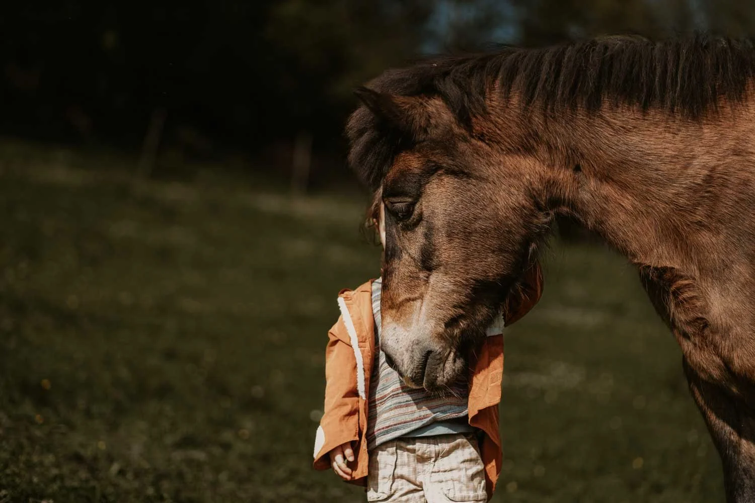 dokumentarische-familienfotografie-kind-pferd.jpg
