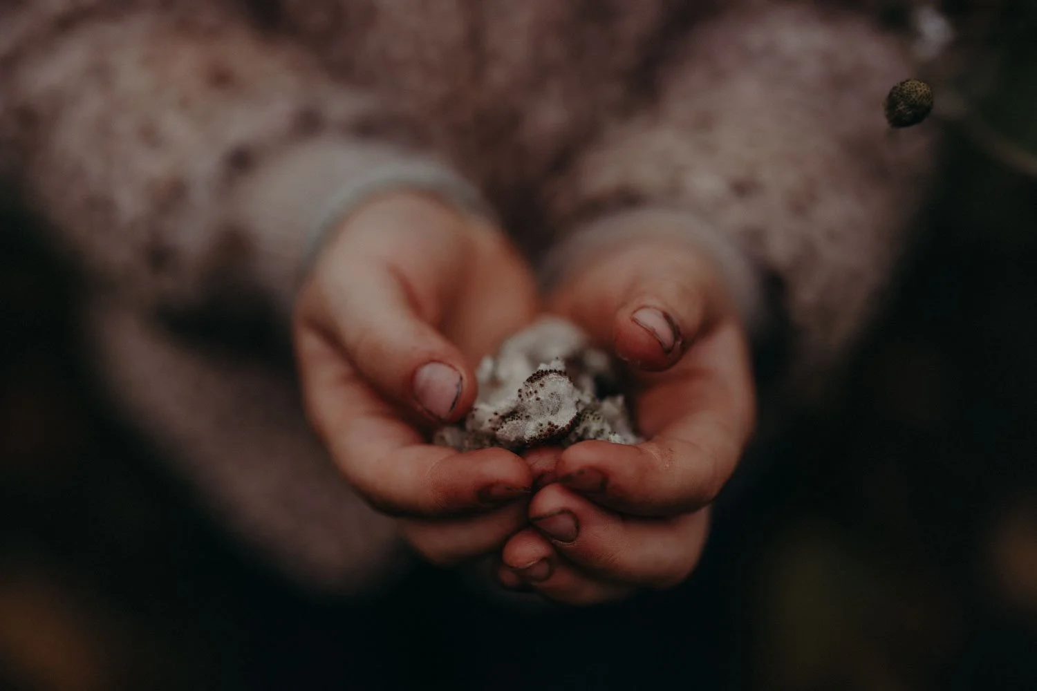 dokumentarische-familienfotografie-kinder-haende.jpg