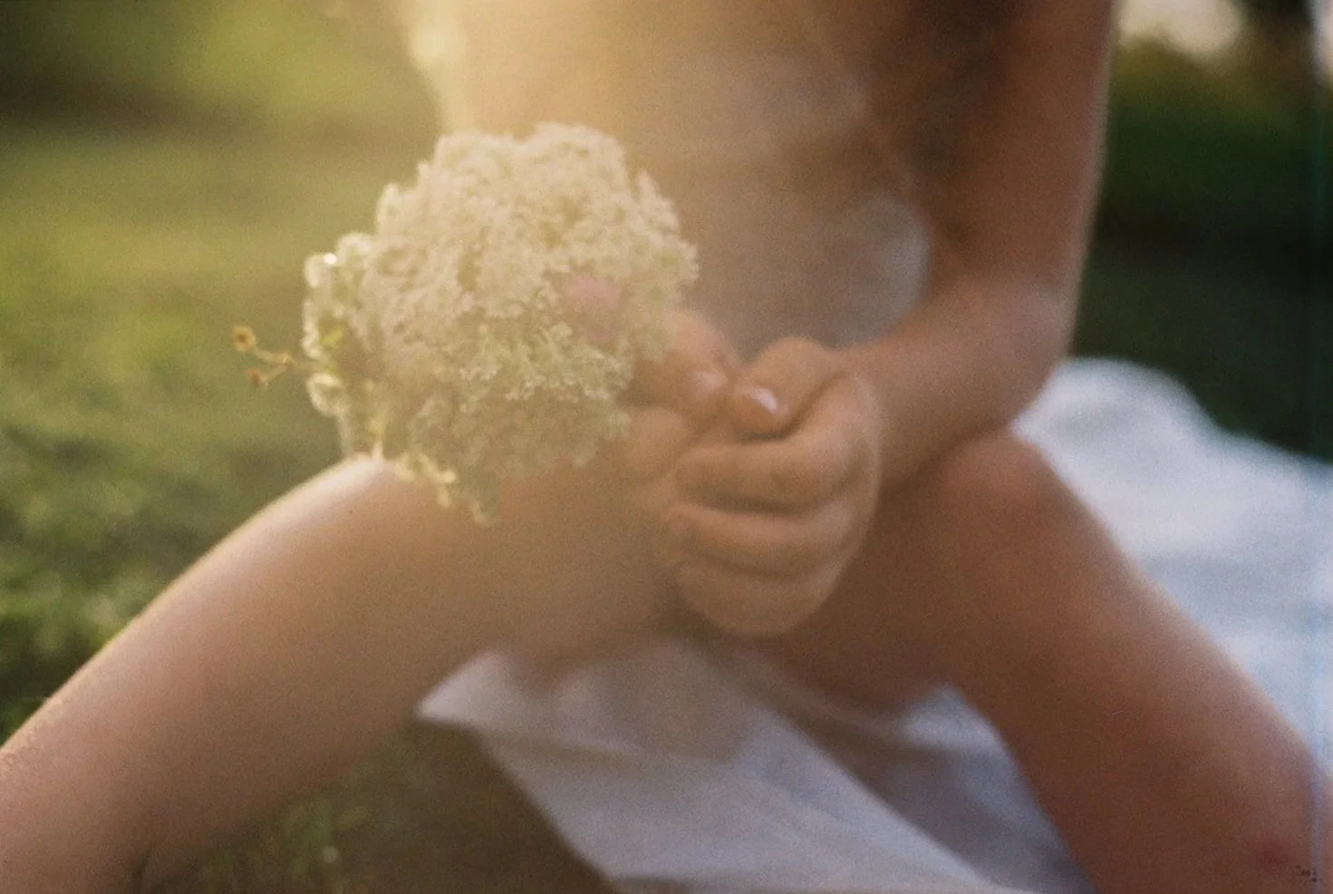 siebentagefotografie_sommer_analog_2026-1_websize.jpg