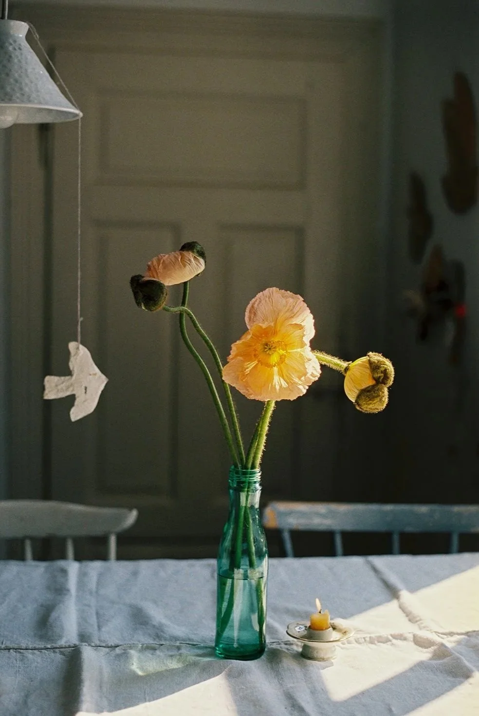 fru%CC%88hling_analog_2026-7.jpg