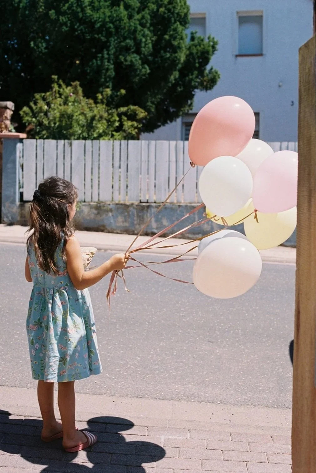 siebentagefotografie_sommer_analog_2026-035.jpg