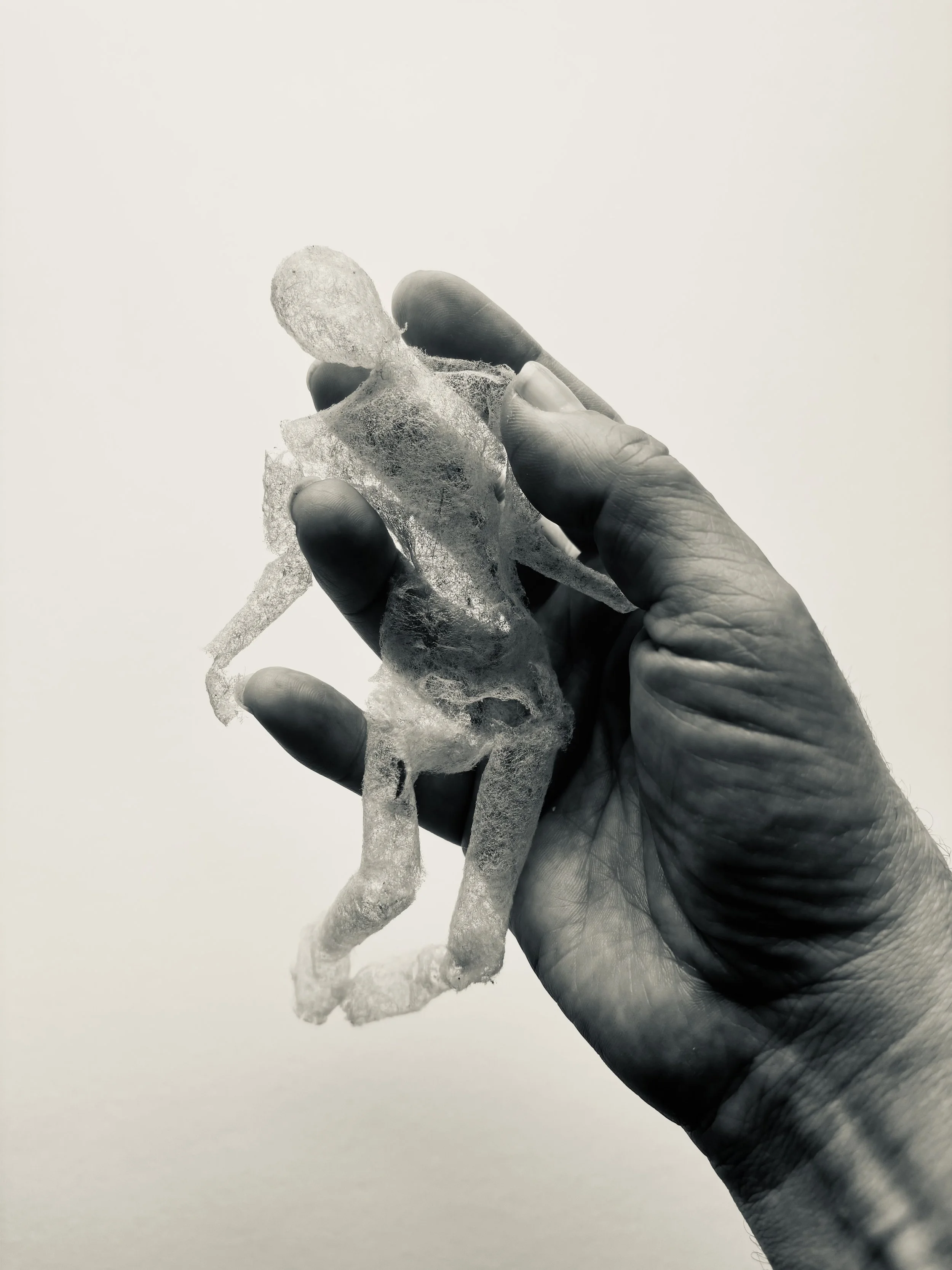 AGE | Paul Hazelton