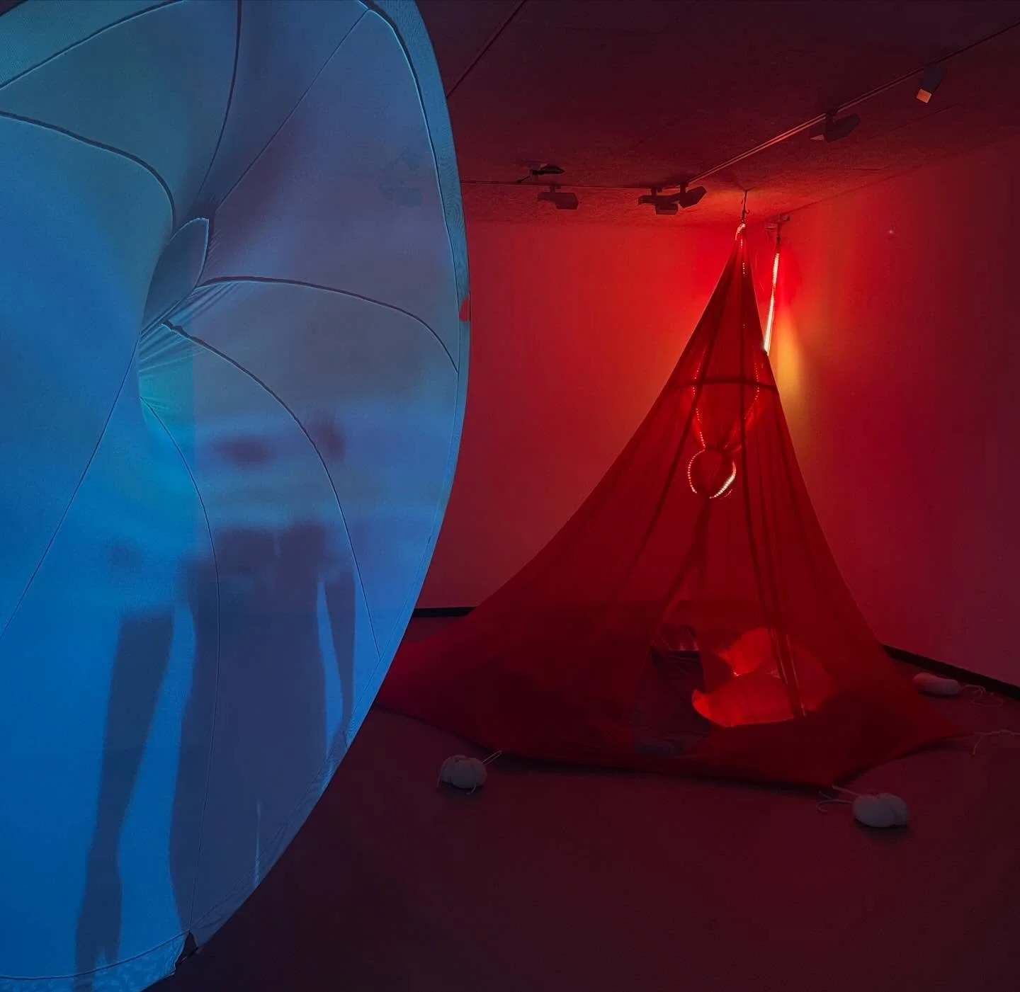 NOT NOT EGGS | Roosa Tulvio | 21 – 25 January 2026