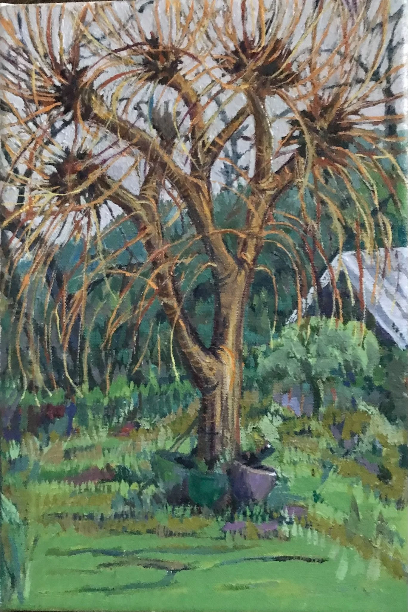painting nature - Friday 28 August, 10am to 1pm - The Windmill Community Garden