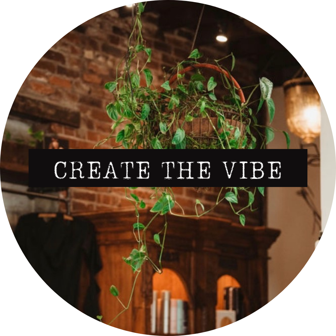 A hanging potted plant with lush green leaves in a cozy room with brick walls and warm lighting, with the words 'Create the Vibe' overlaid in bold text.