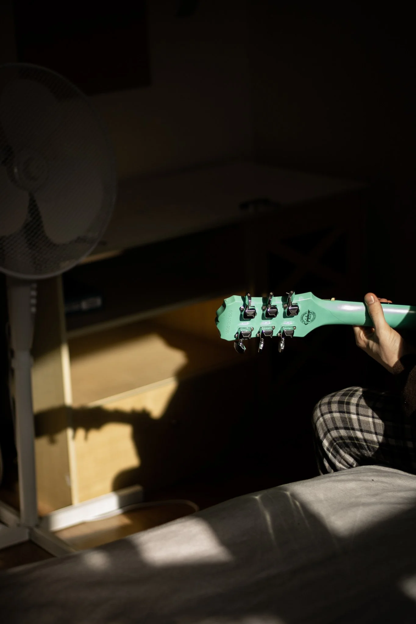 lenny ghuitar.jpg