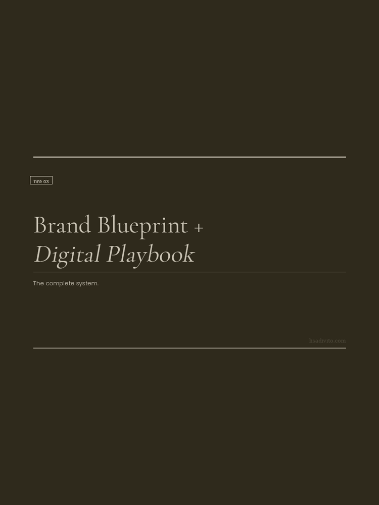 TIER 3: Brand Blueprint + Digital Playbook
