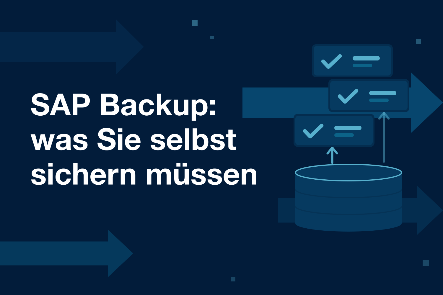 SAP Backup: was Sie selbst sichern müssen