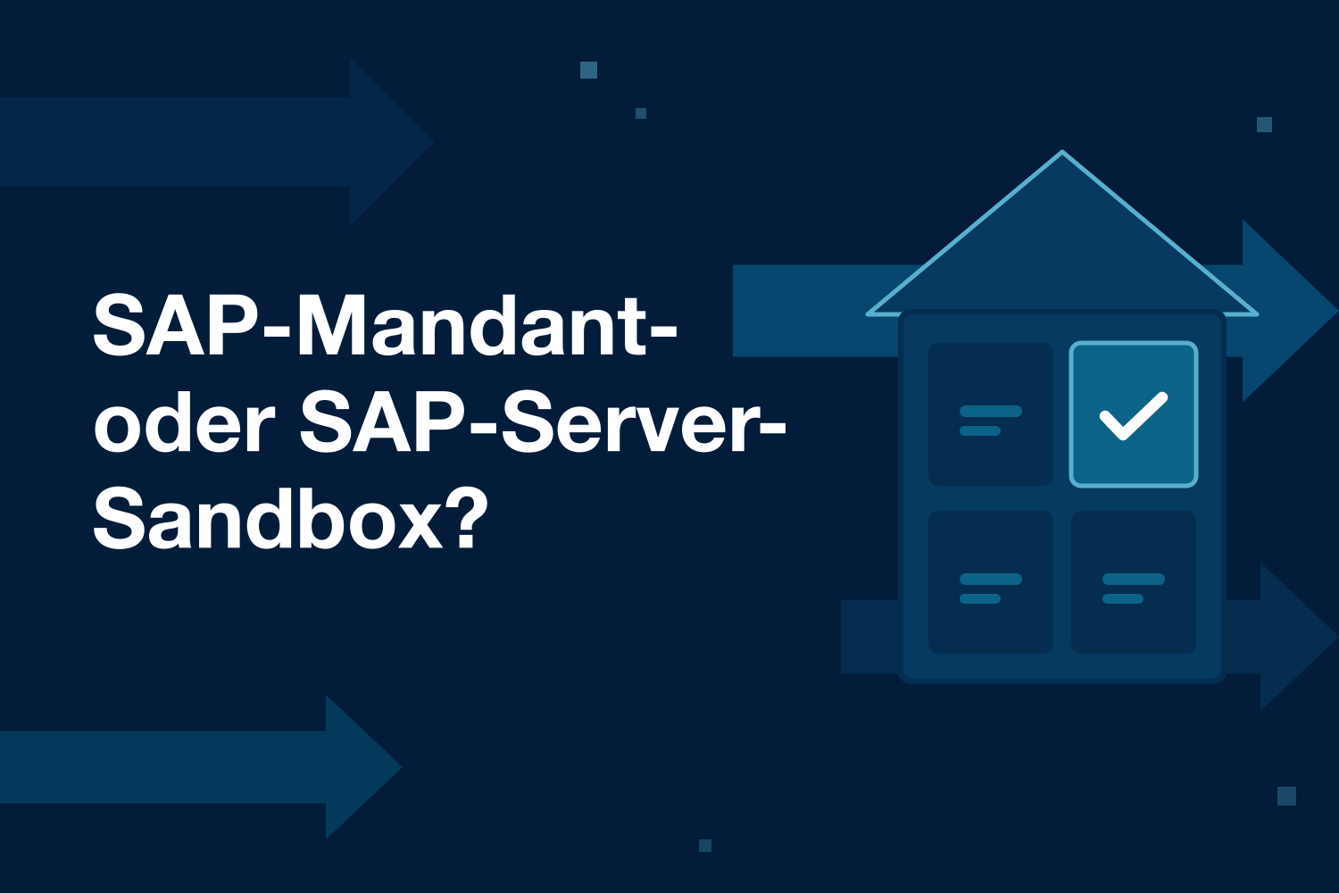 SAP-Mandant oder -Server: Welche SAP Sandbox brauchen Sie?