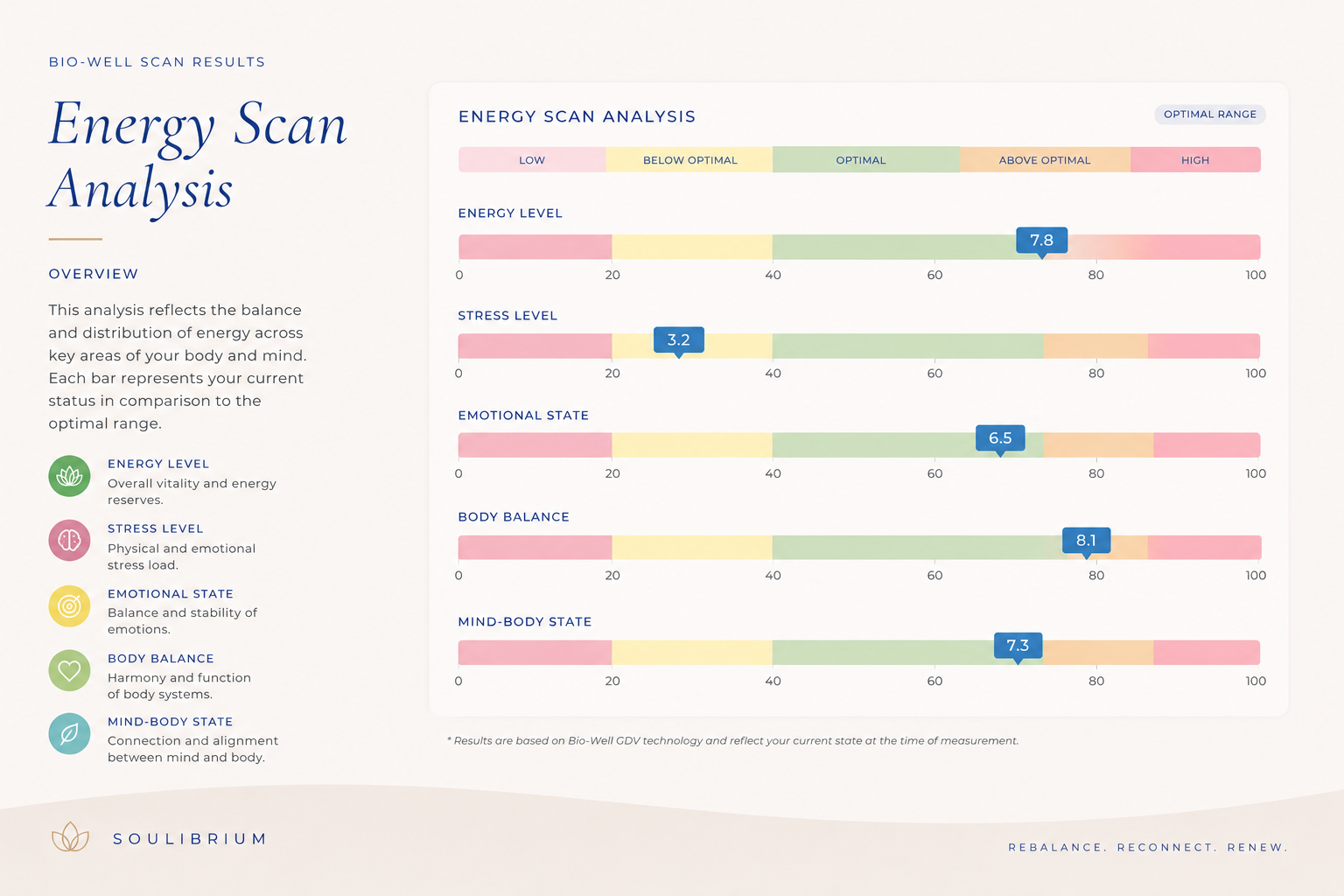 Soulibrium Bio-Well Scan Energy Scan Analysis