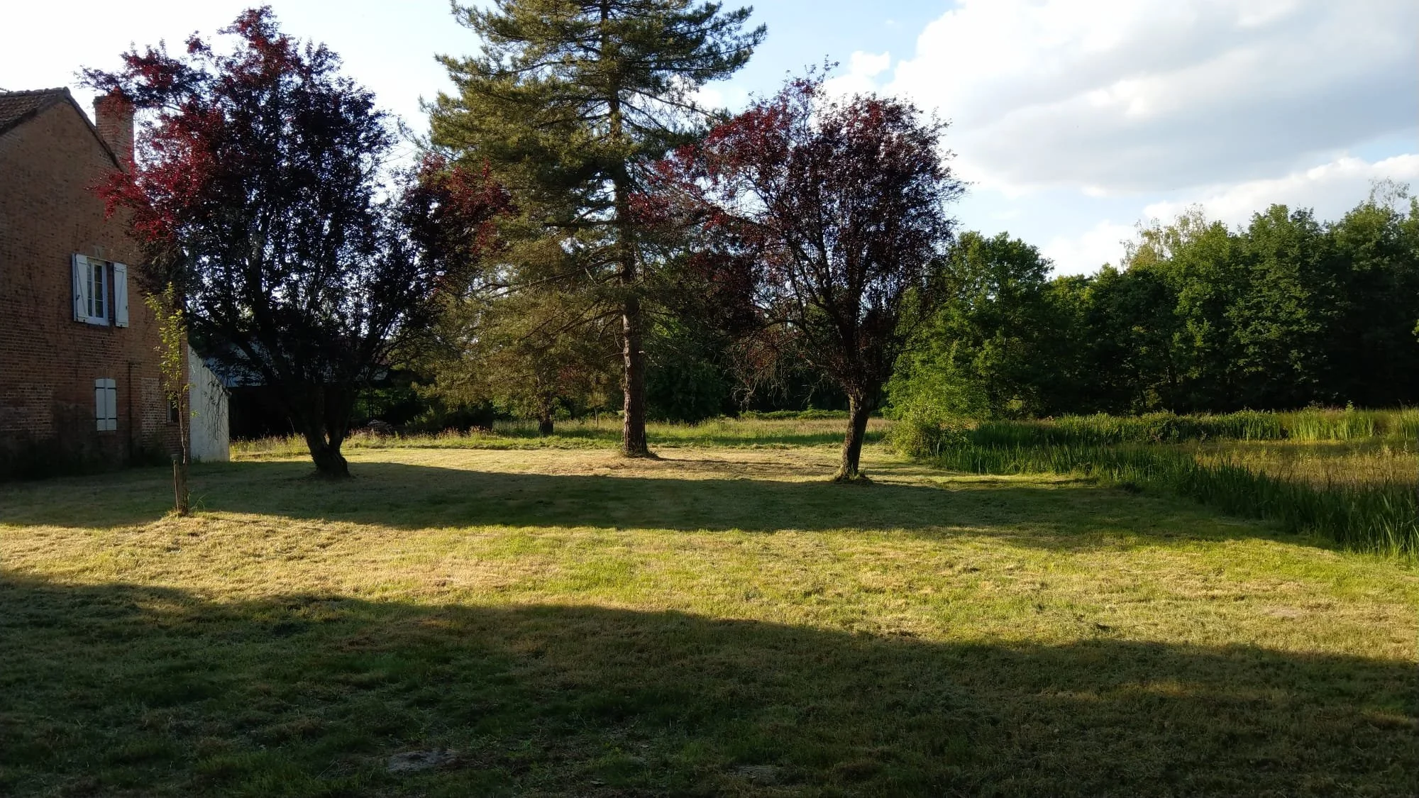 Un jardin avec des arbres, de l'herbe et un bâtiment en pierre à gauche.