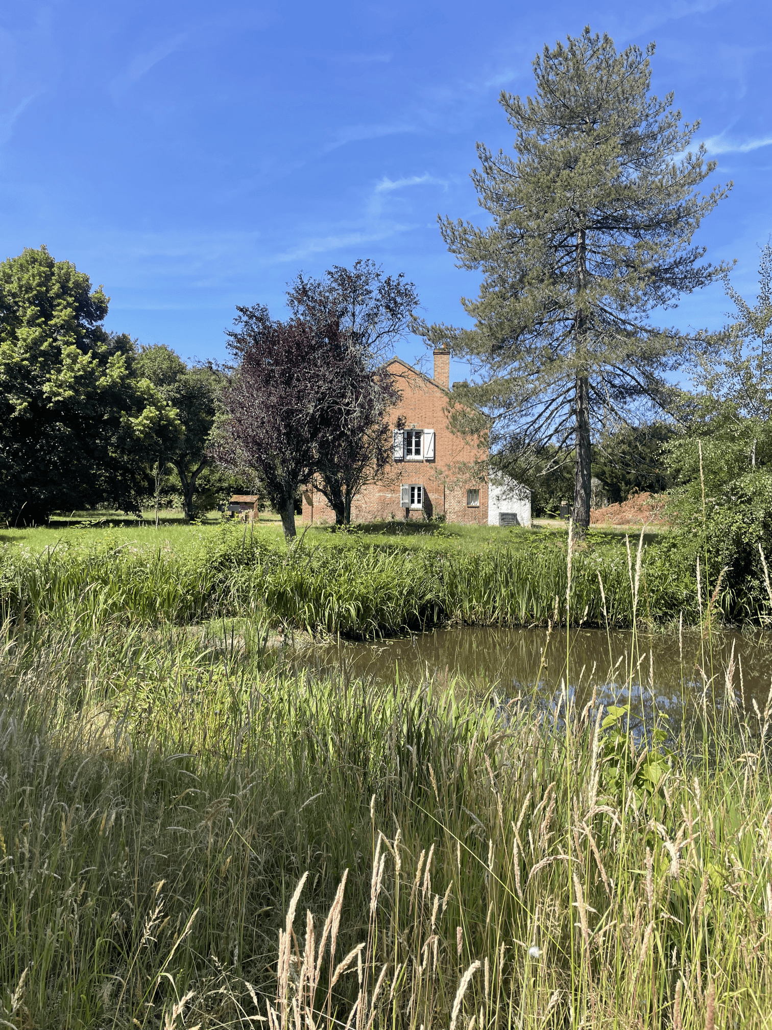 Une maison en brique rouge entourée d'arbres variés, avec un grand arbre à droite et des buissons à gauche, devant un petit étang et un ciel bleu clair.