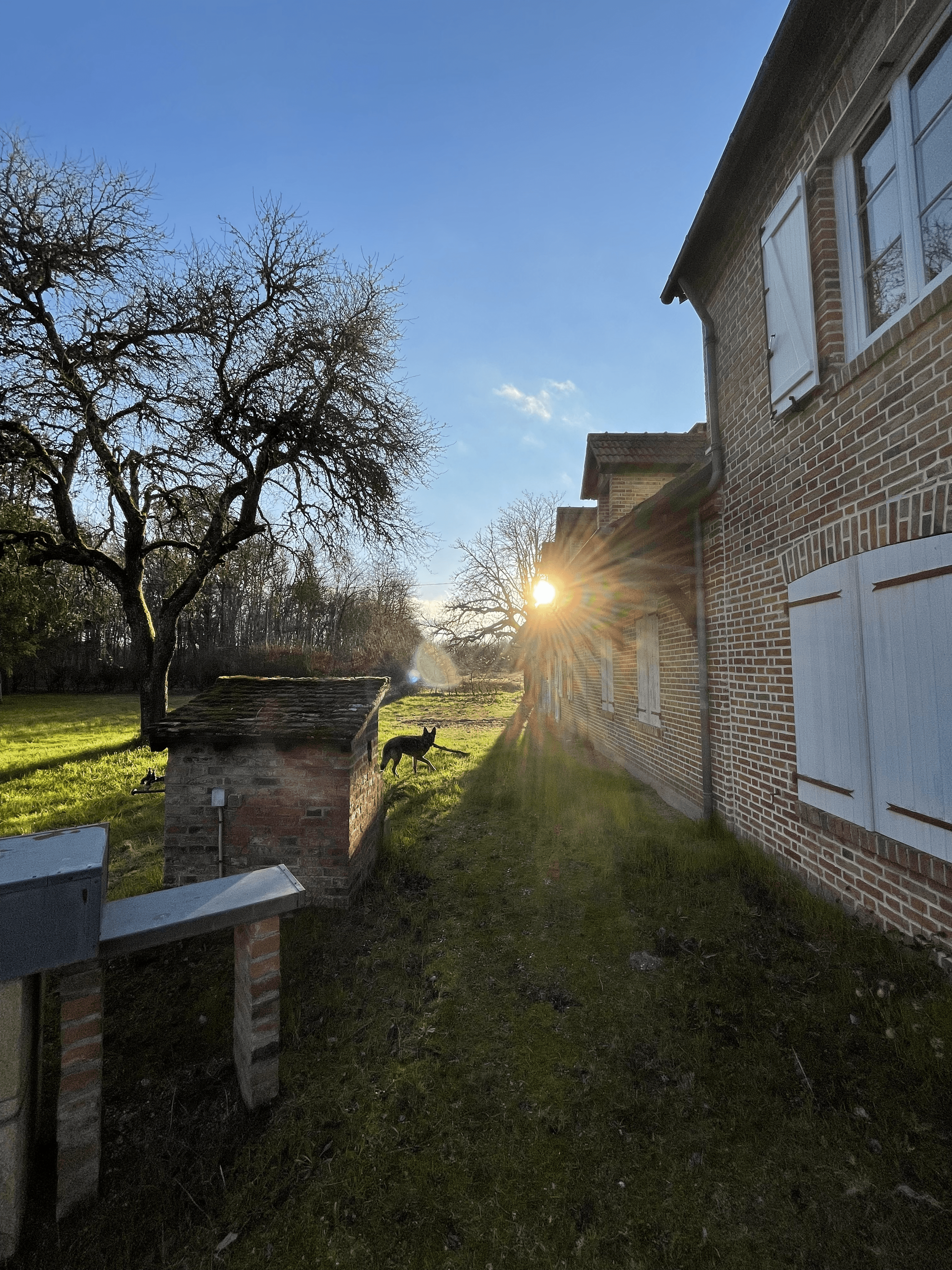 Une maison en briques avec des volets blancs, un arbre sans feuilles, le soleil couchant crée un éclat de lumière, un chat noir se trouve près d'un mur en pierre.